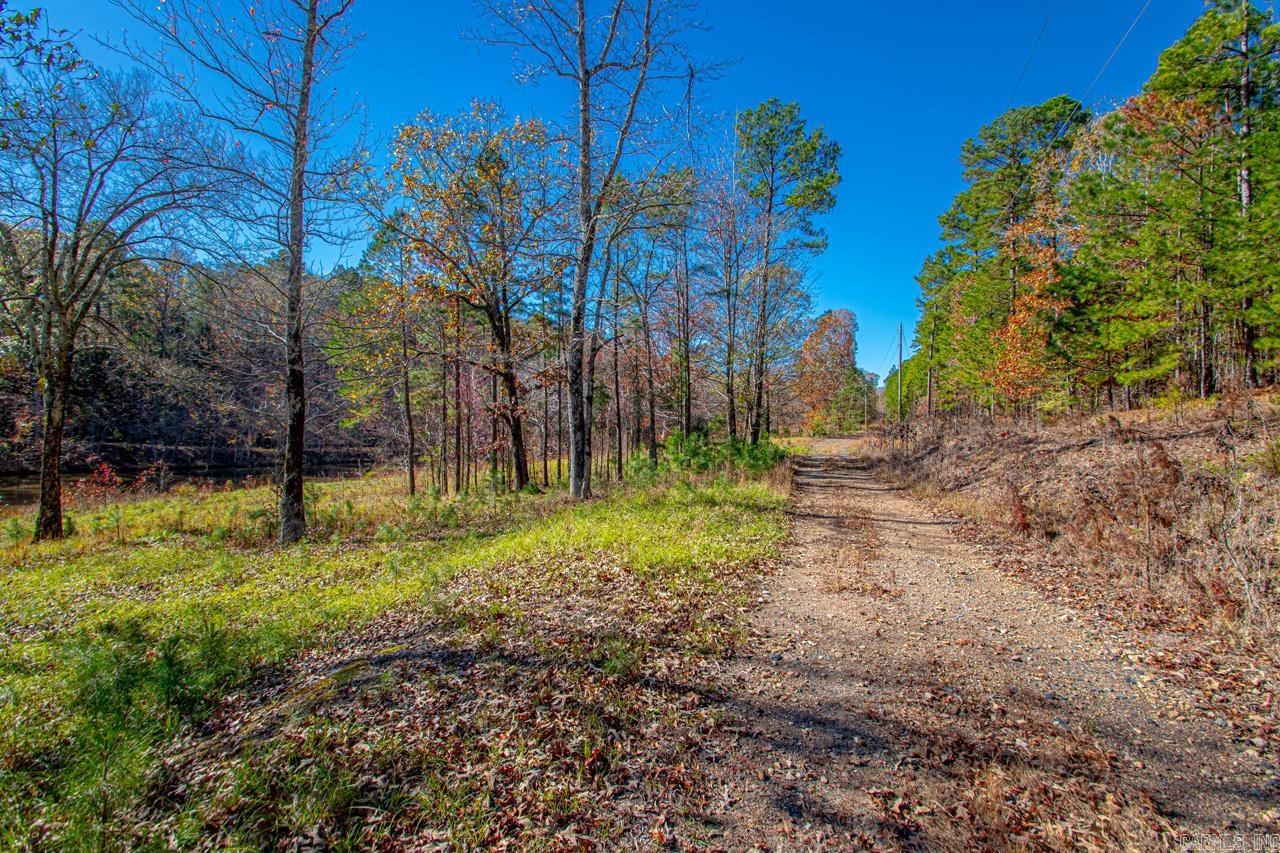 Tranquil property with stocked pond and barn. Great build site/s with privacy all around. See parcel map for location.