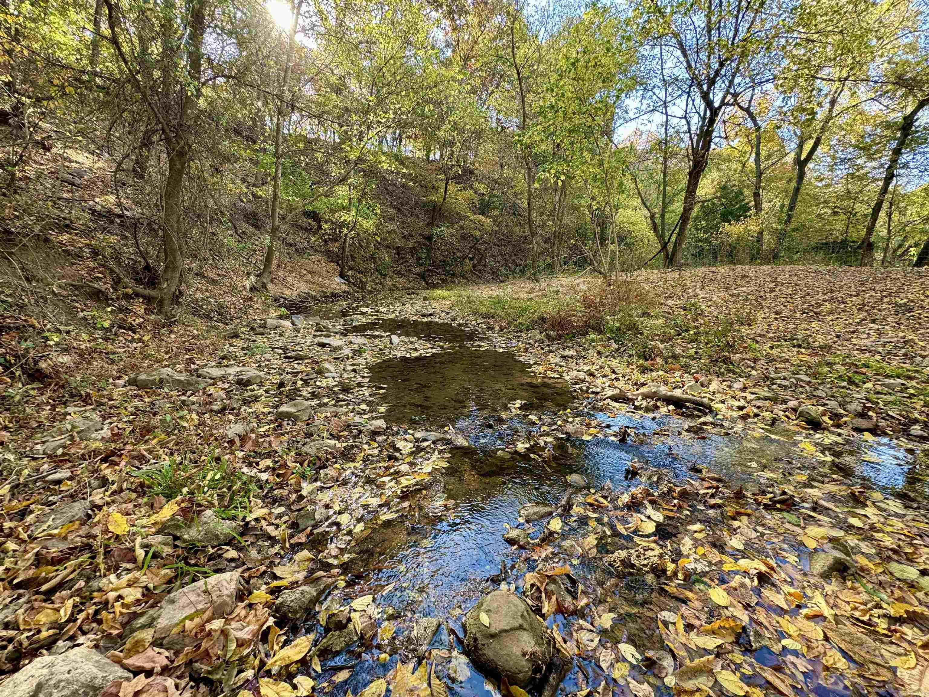 Metes & Bounds - Farm