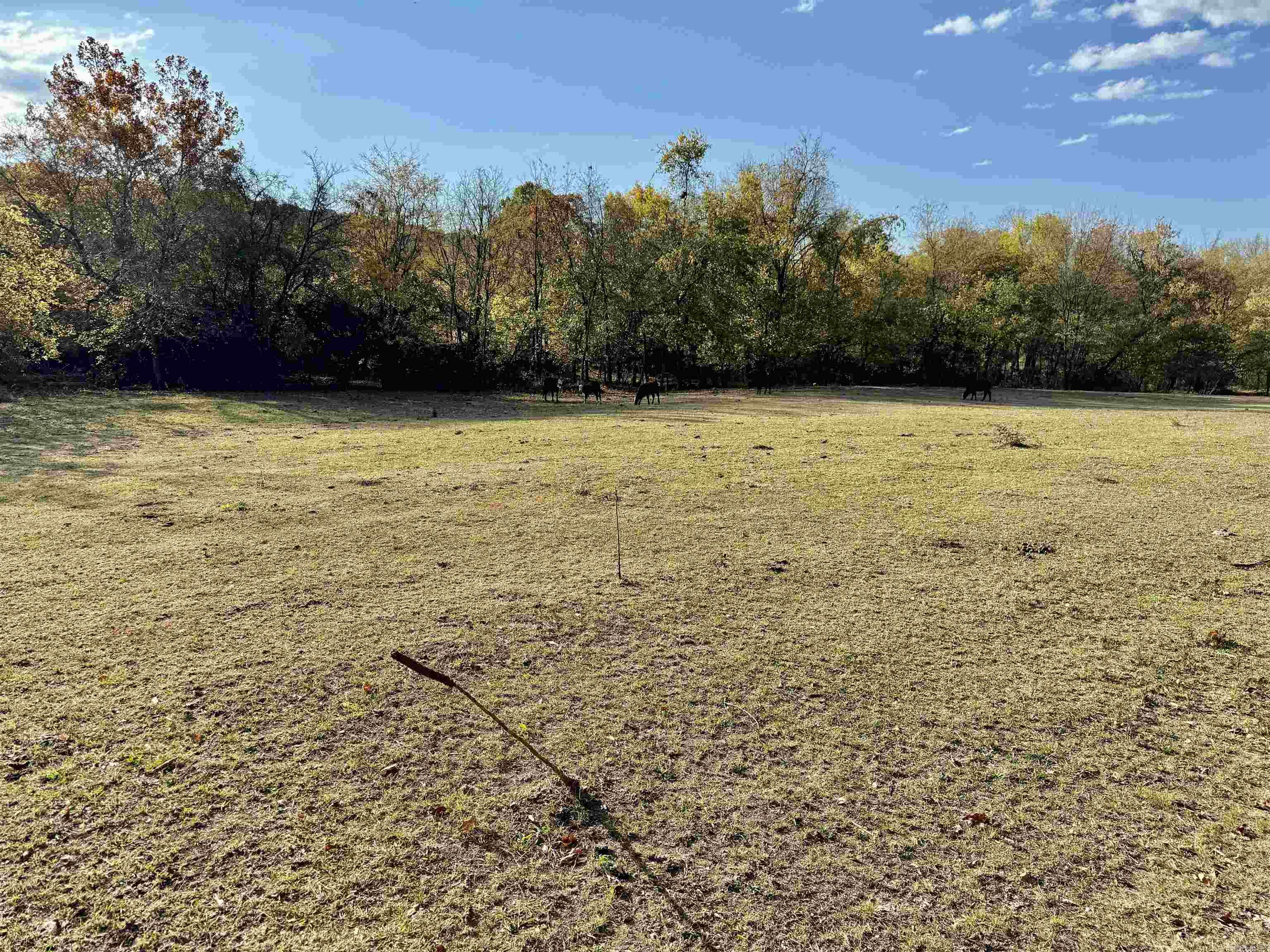 Metes & Bounds - Farm