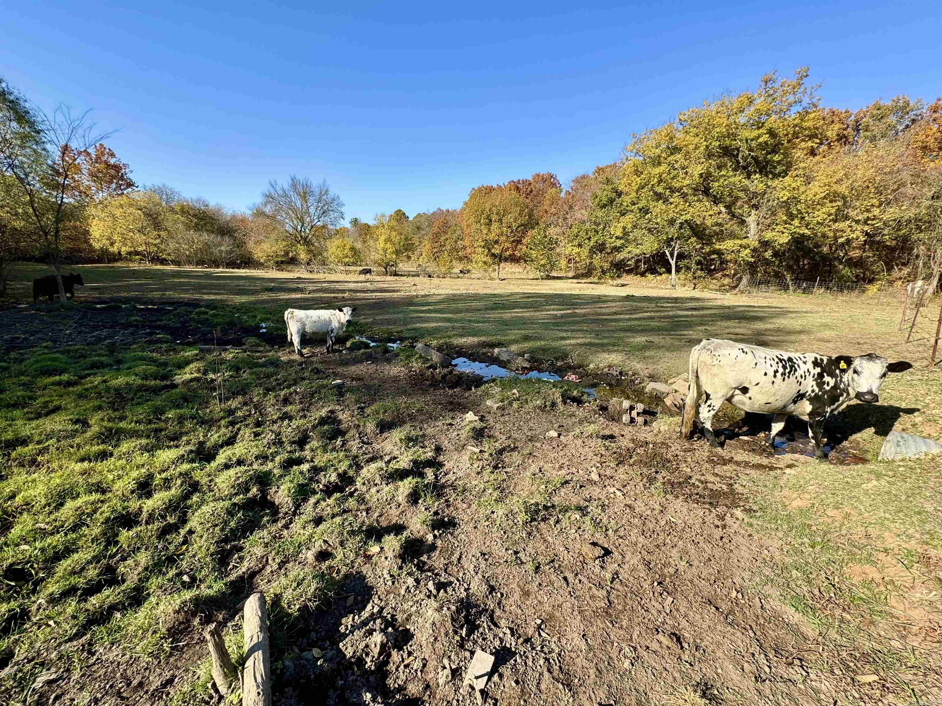 Metes & Bounds - Farm