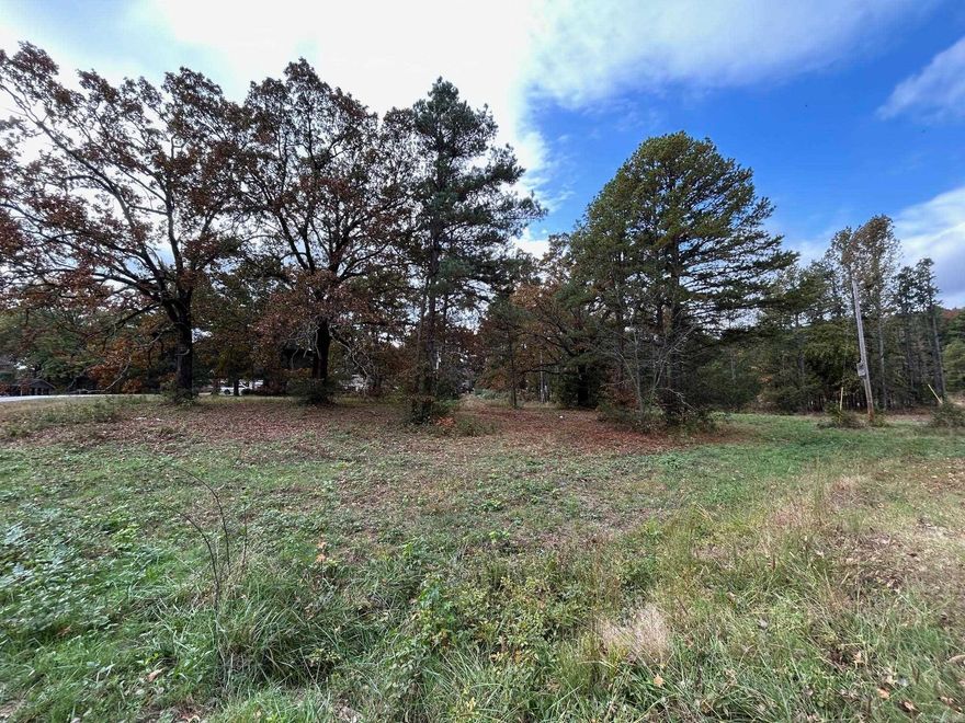 Heber Springs area, Large wooded lot with 2-3 very large trees. Well established neighborhood. All utilities are available on site.