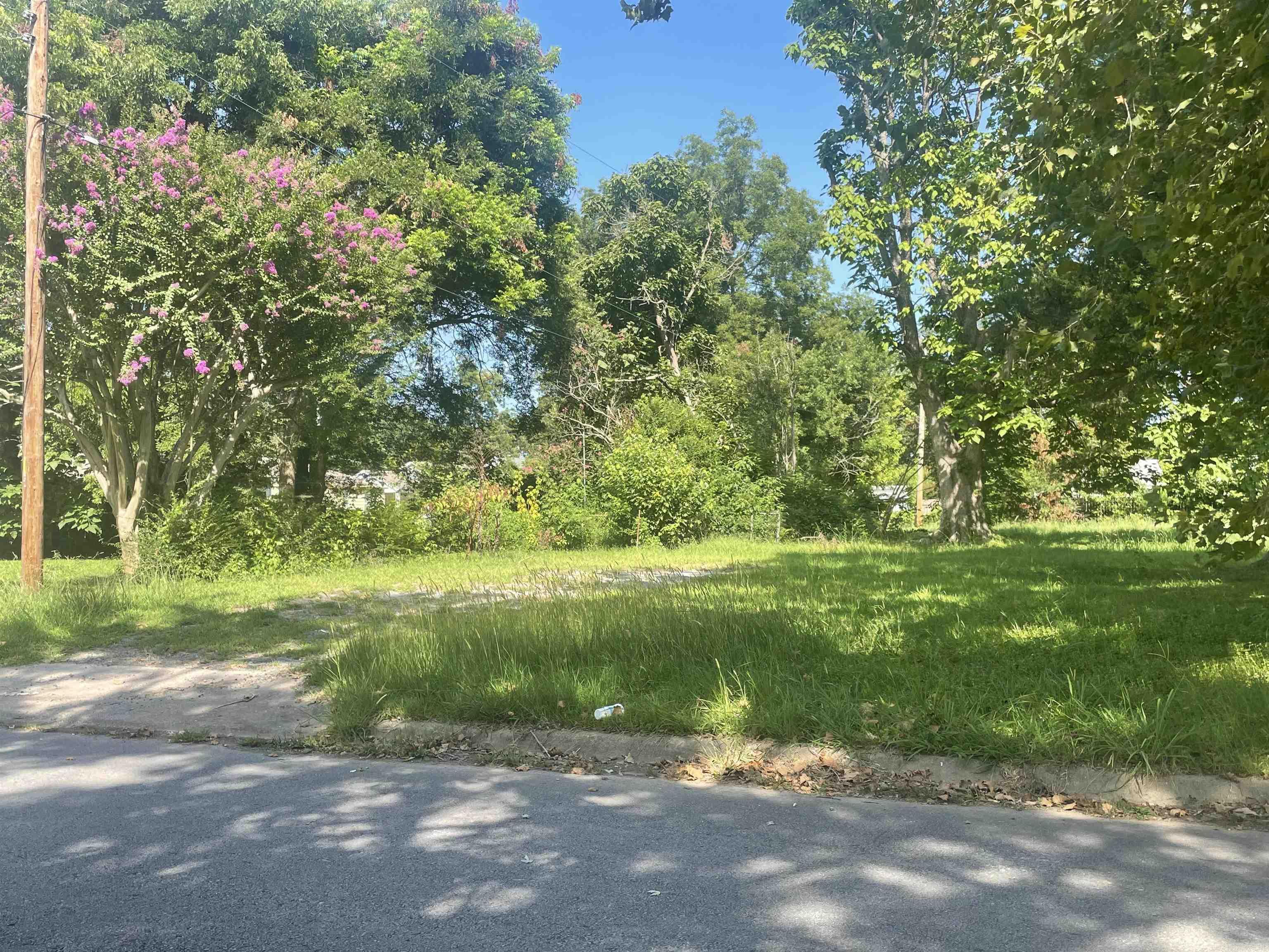 Spanish Grant #2 - Land