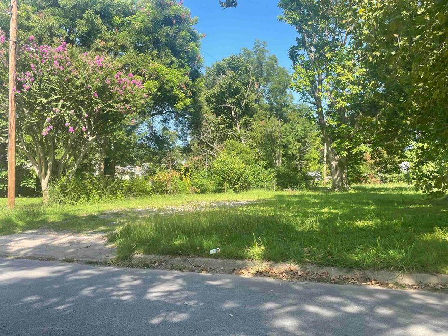 Discover the perfect canvas for your dream home on this beautiful residential lot. Nestled in a quiet, family-friendly neighborhood, this spacious plot offers ample room for a stunning house and a lush garden. Enjoy the convenience of nearby schools, parks, shopping centers, and easy access to major highways. The lot is flat and ready for construction, with all utilities available at the street. Embrace the opportunity to build your ideal home in a community that offers both tranquility and accessibility.