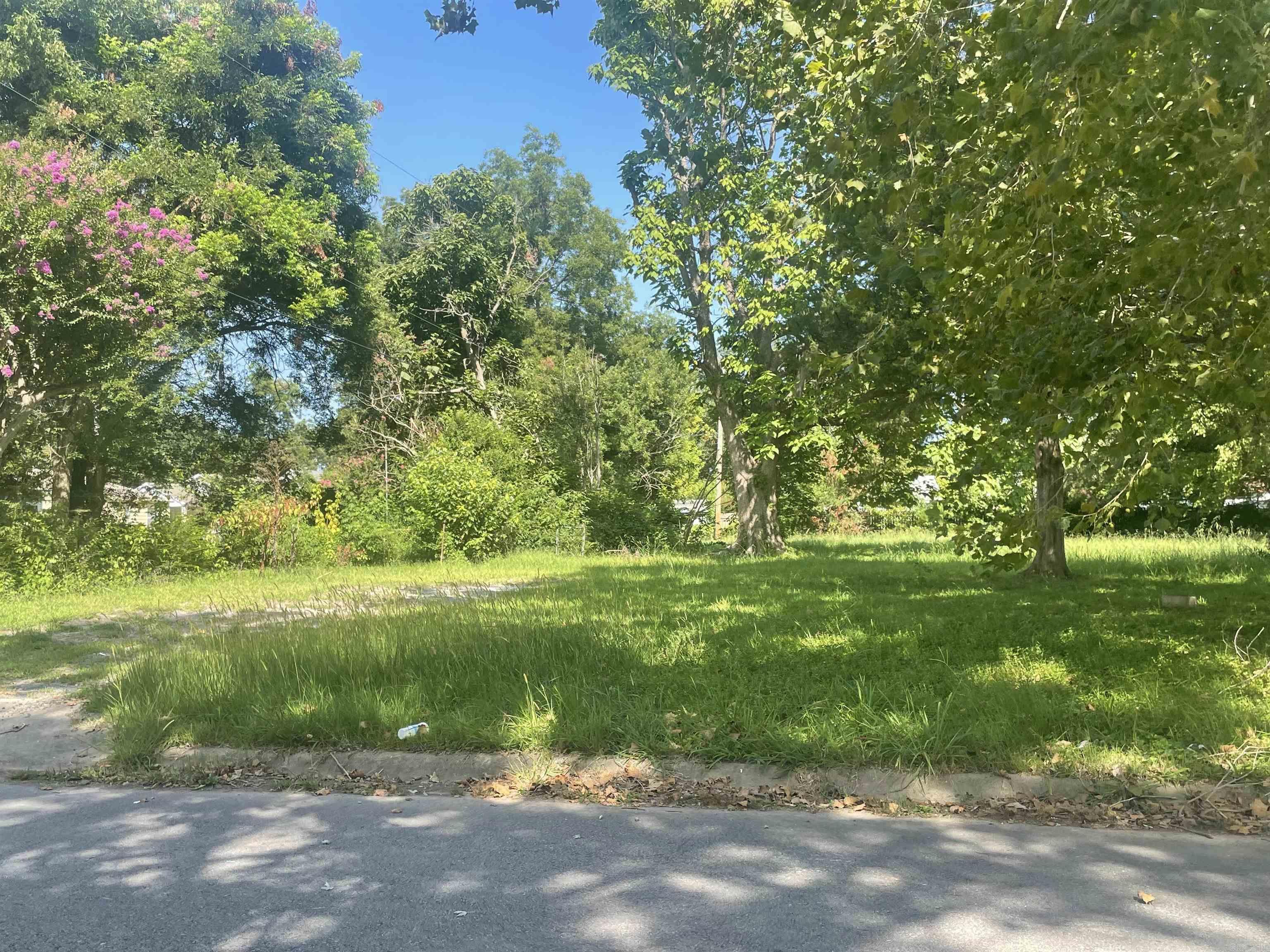 Spanish Grant #2 - Land