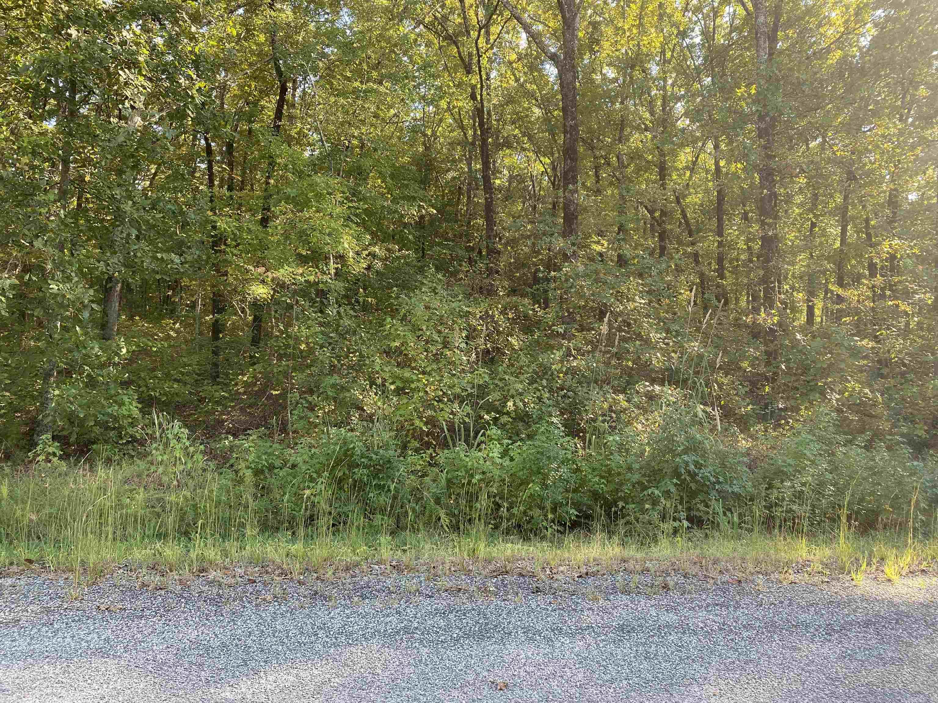 Perfect .87 acre site to build your custom home in a lovely rural subdivision with most lots about 1 acre, land has been perc tested. Perc test is available at White County Health Department. Minimum house size built heated and cooled is 1800 square feet, no mobile allowed. Lot 23, next door to this lot is .94 acres and is for sale by the same seller and same list agent, same price $22,900. If you bought both lots you'd have a total of 1.81 acre lot on which to build
