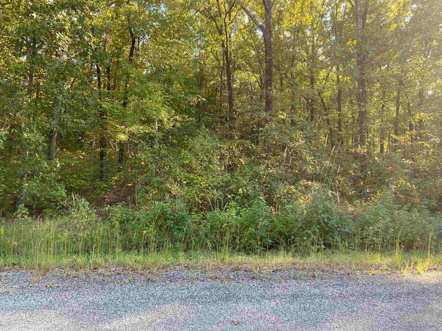 Perfect .87 acre site to build your custom home in a lovely rural subdivision with most lots about 1 acre, land has been perc tested. Perc test is available at White County Health Department. Minimum house size built heated and cooled is 1800 square feet, no mobile allowed. Lot 23, next door to this lot is .94 acres and is for sale by the same seller and same list agent, same price $22,900.  If you bought both lots you'd have a total of 1.81 acre lot on which to build