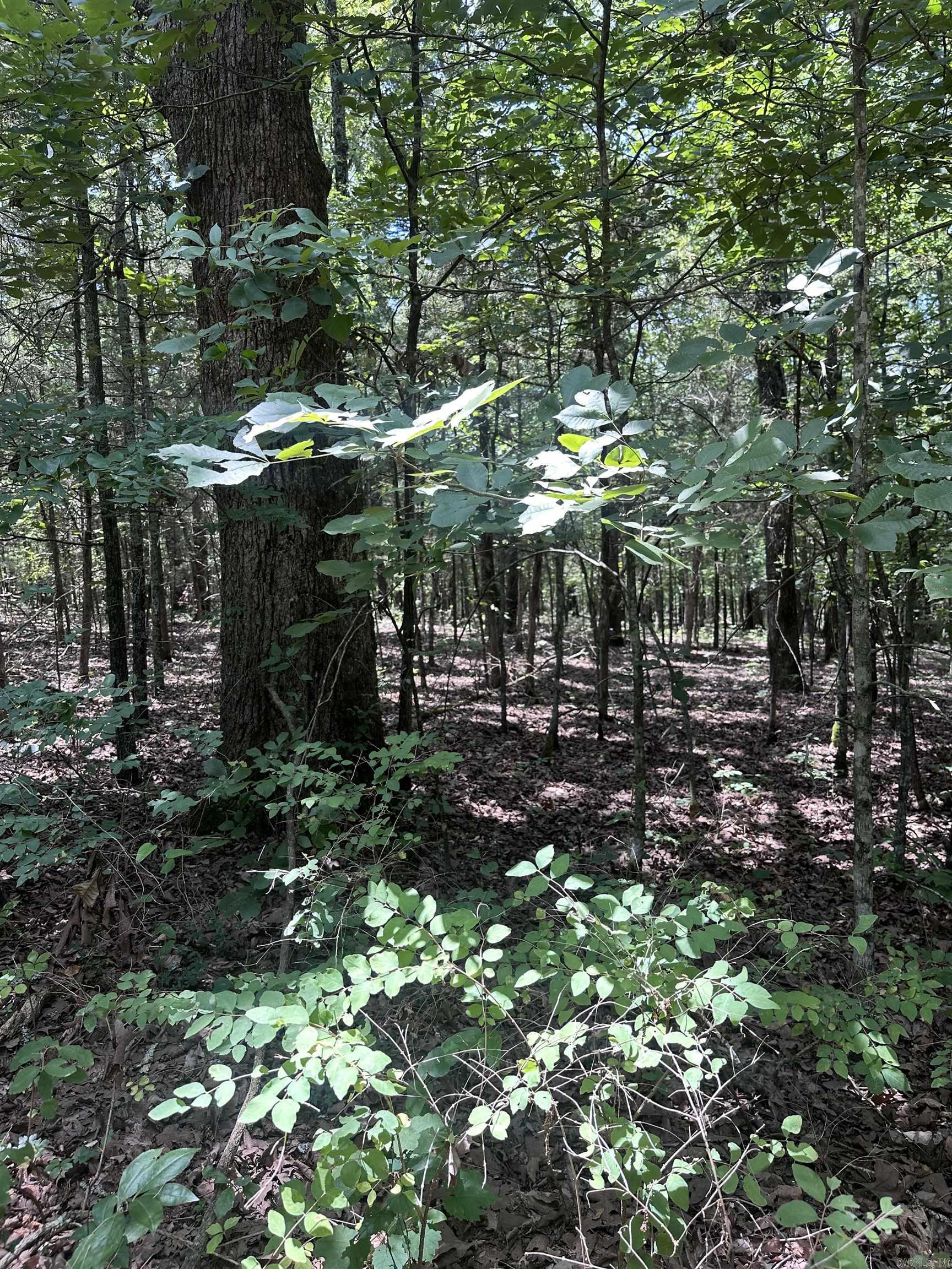 BELL FOLEY ESTATES - Land