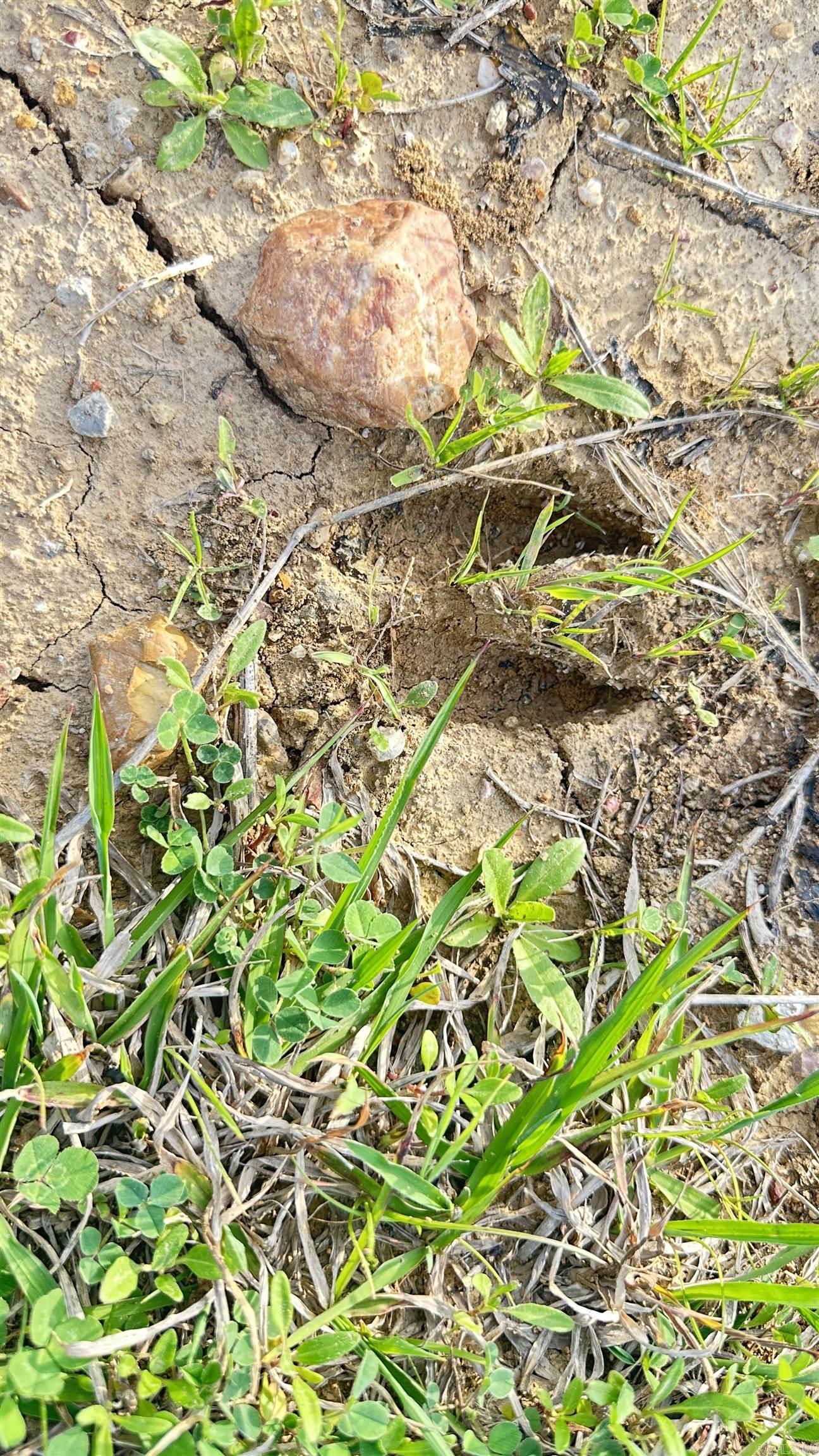 Not in Subdivision - Land