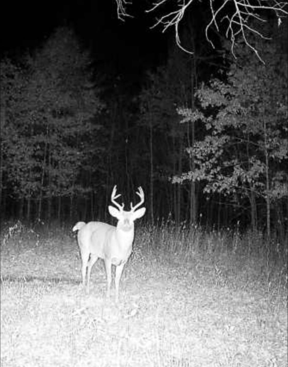 Not in Subdivision - Land