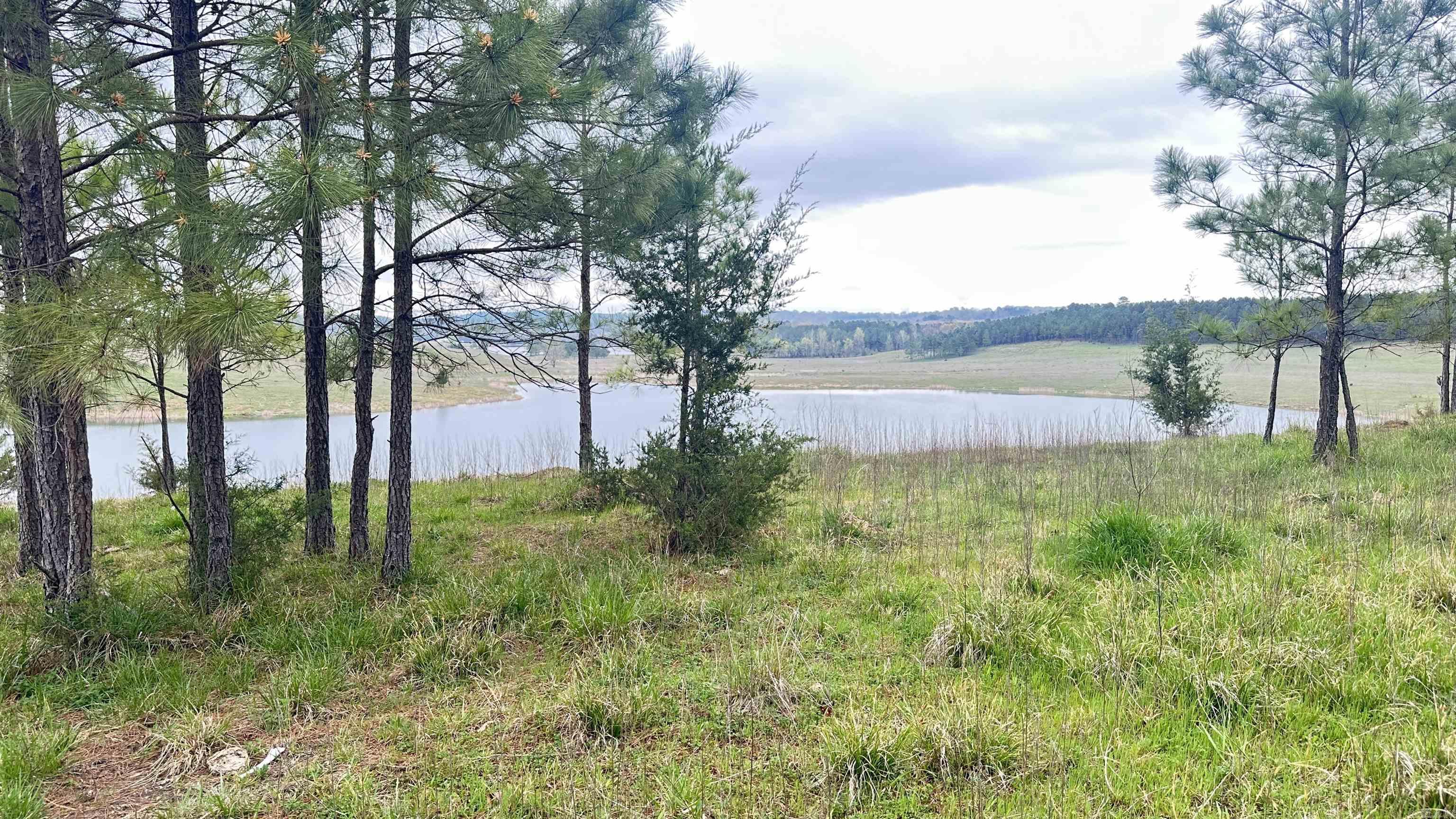199.43 +/- acres of land offering ample space for hunting and or recreation. This property is known for healthy population of wildlife, which includes deer, turkey, ducks, and other small game. It also has a 30-acre pond. Outdoor recreation potential like hiking, camping, fishing, and other outdoor activities. The possibilities are endless. Near Beautiful Lake Greeson, and neighboring town of Murfreesboro, Arkansas. Where you will find the only place in the United States where you can dig for diamonds and keep any gems you find. It's a convenient drive to Glenwood Arkansas, where you can do kayaking or canoeing on the Caddo River. Has a 30-acre pond. Outdoor recreation potential like hiking, camping, fishing, and other outdoor activities. The possibilities are endless.