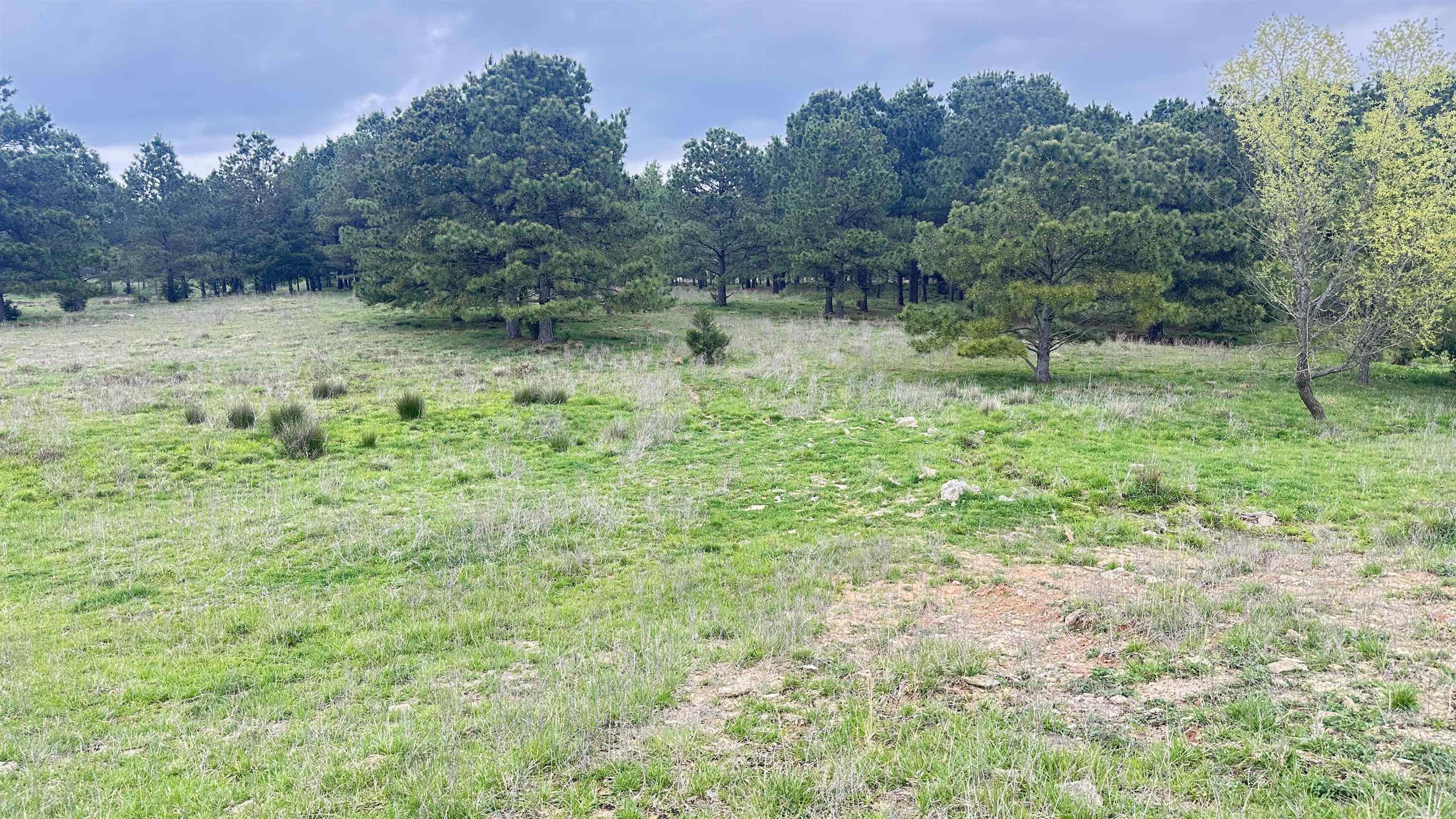 Not in Subdivision - Land