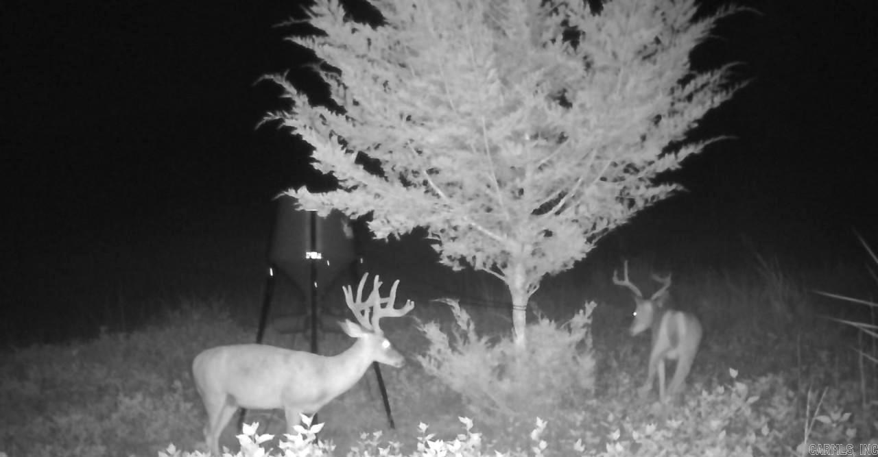 Not in Subdivision - Land