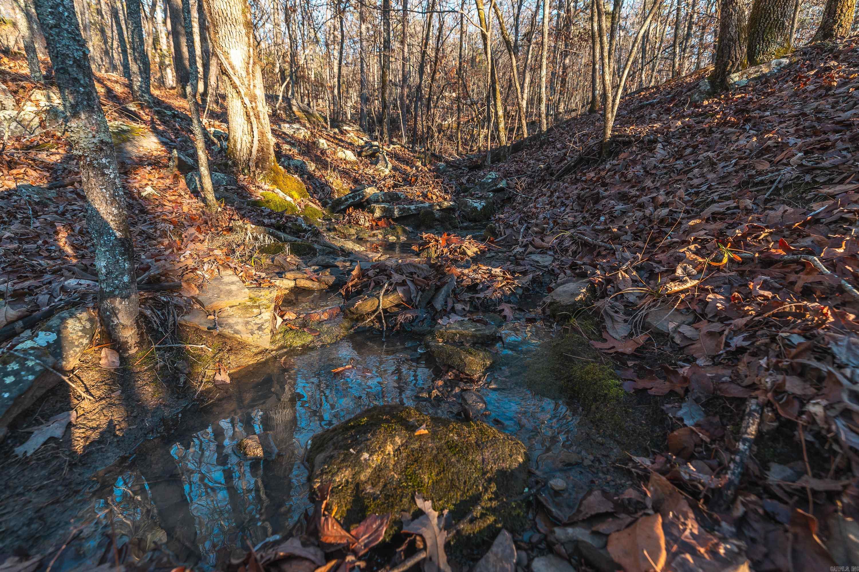 CENTRAL RURAL - Residential