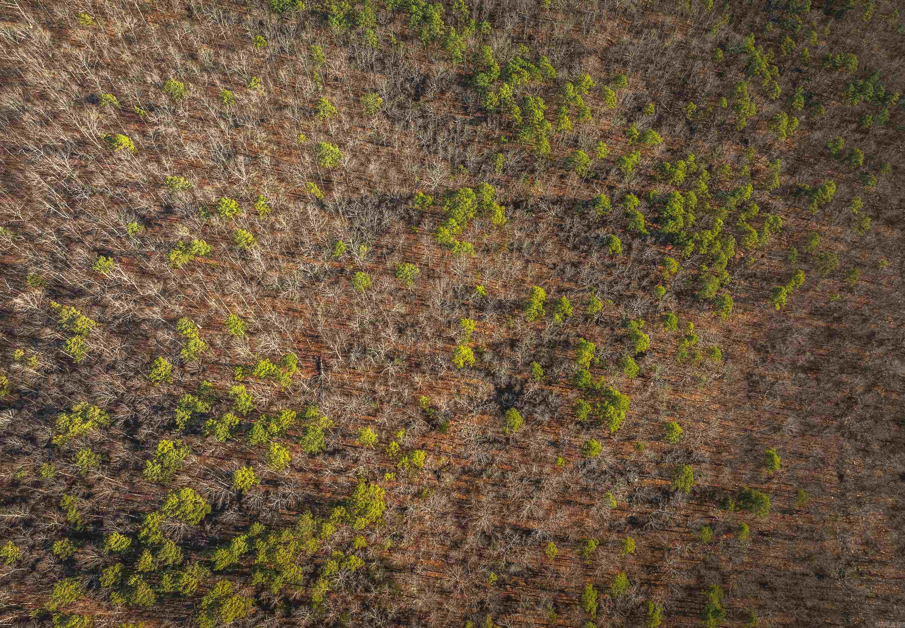 CENTRAL RURAL - Residential