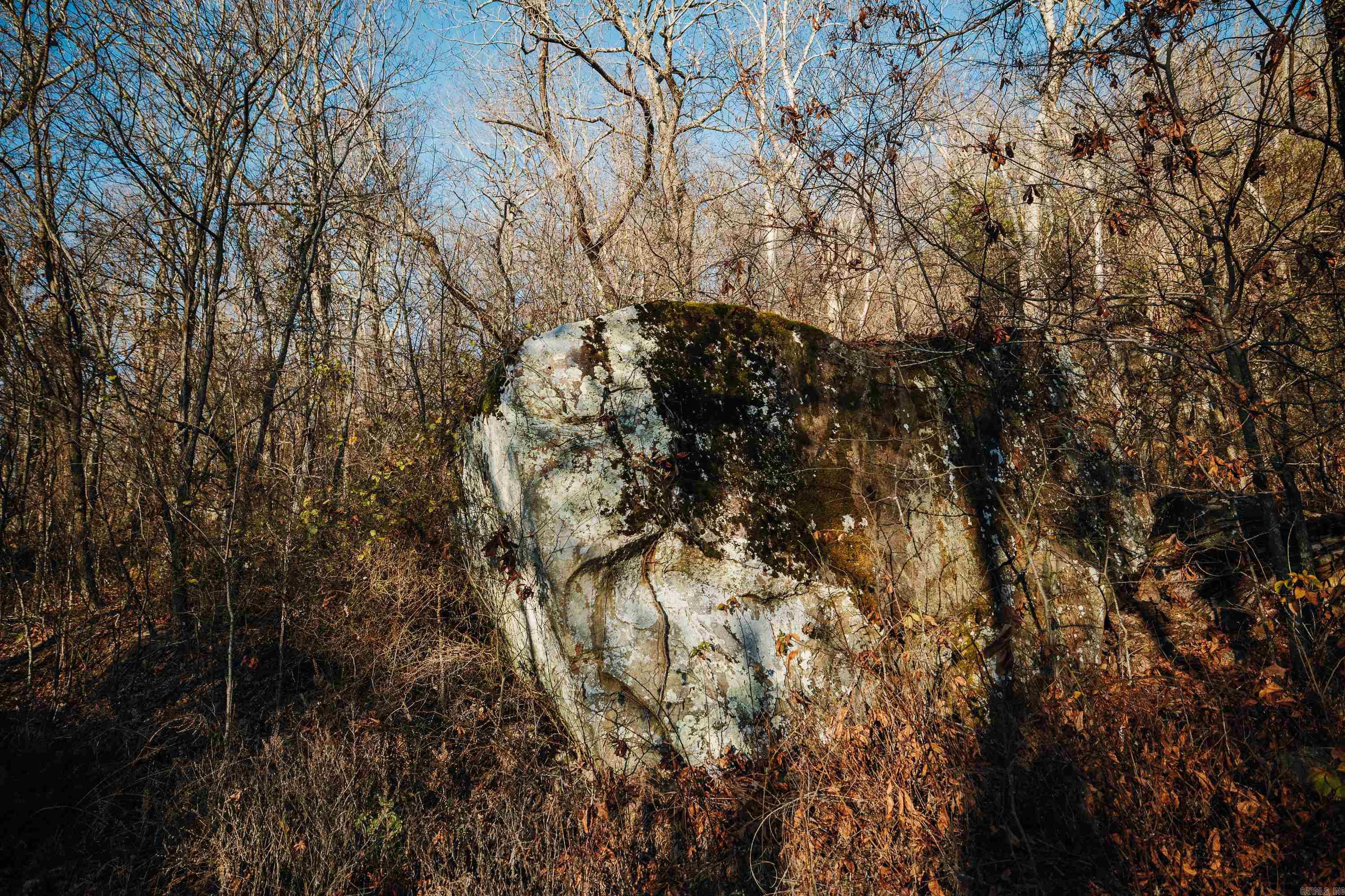 CENTRAL RURAL - Residential