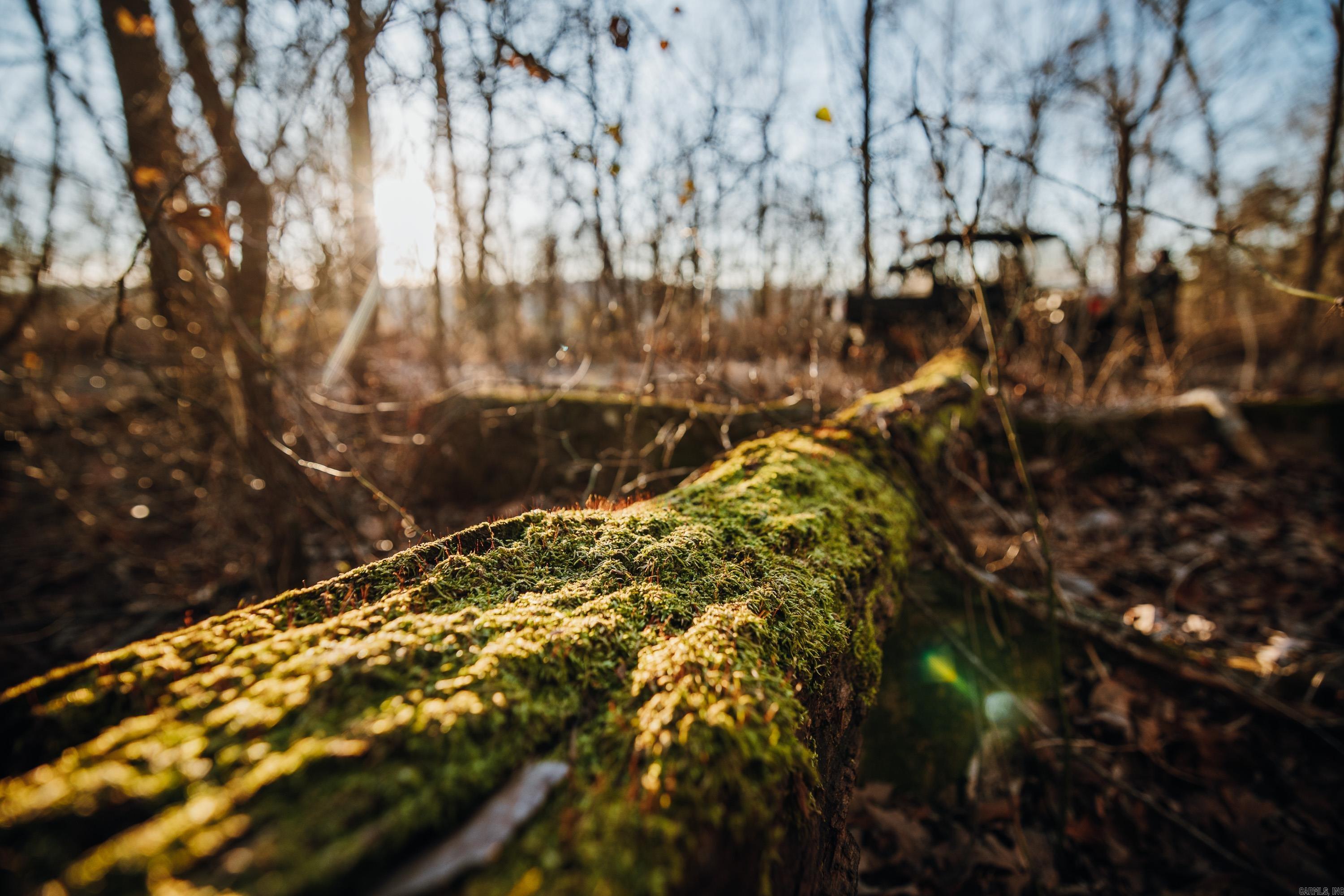 CENTRAL RURAL - Residential