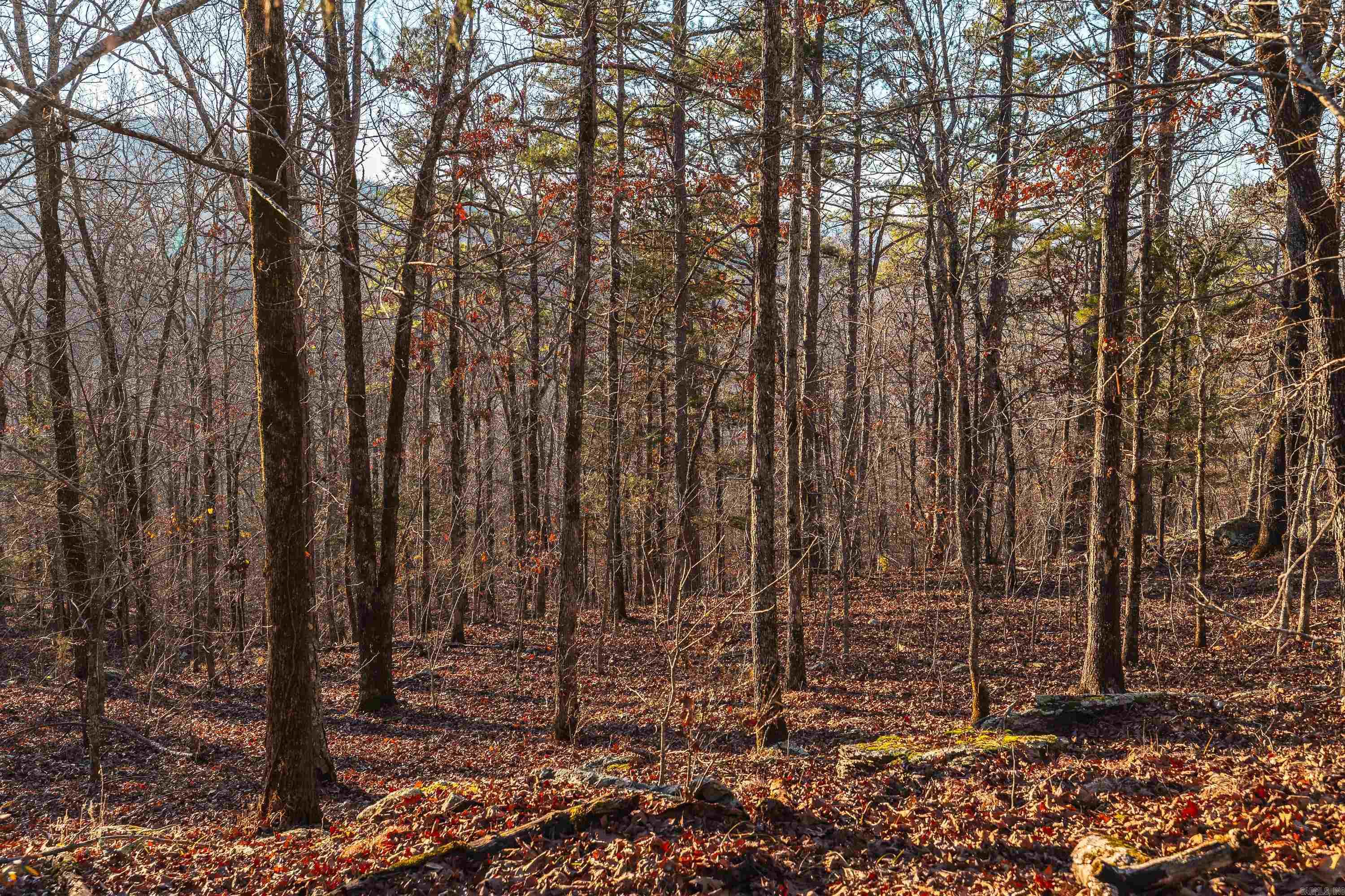 CENTRAL RURAL - Residential