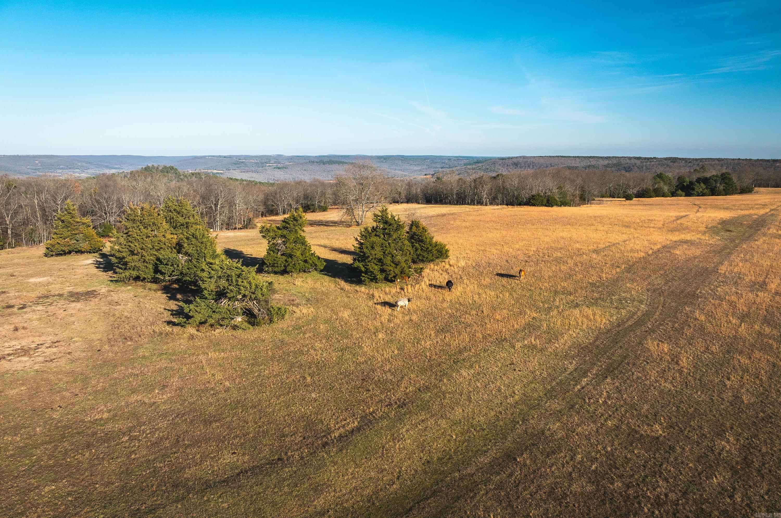 CENTRAL RURAL - Residential