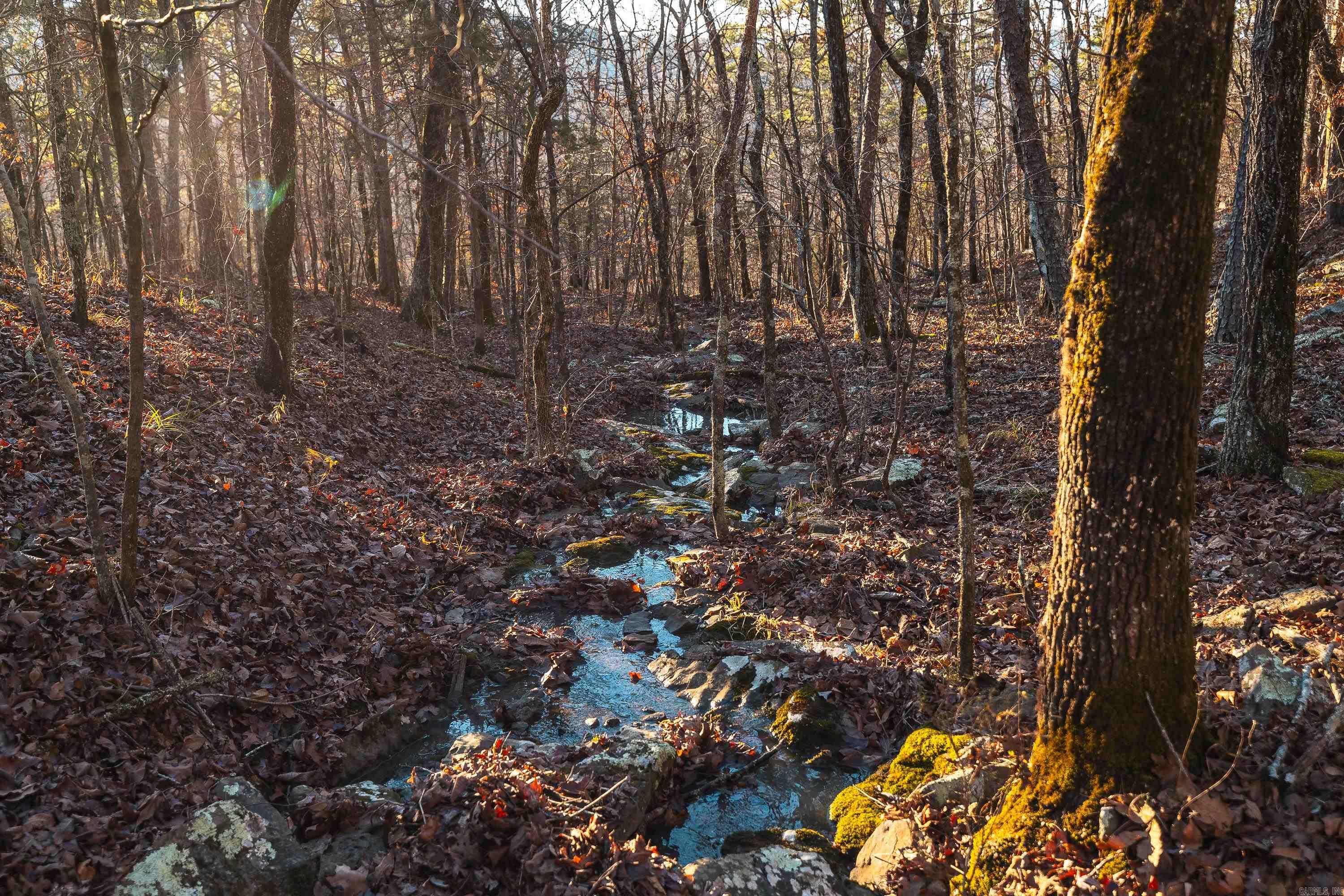 CENTRAL RURAL - Residential