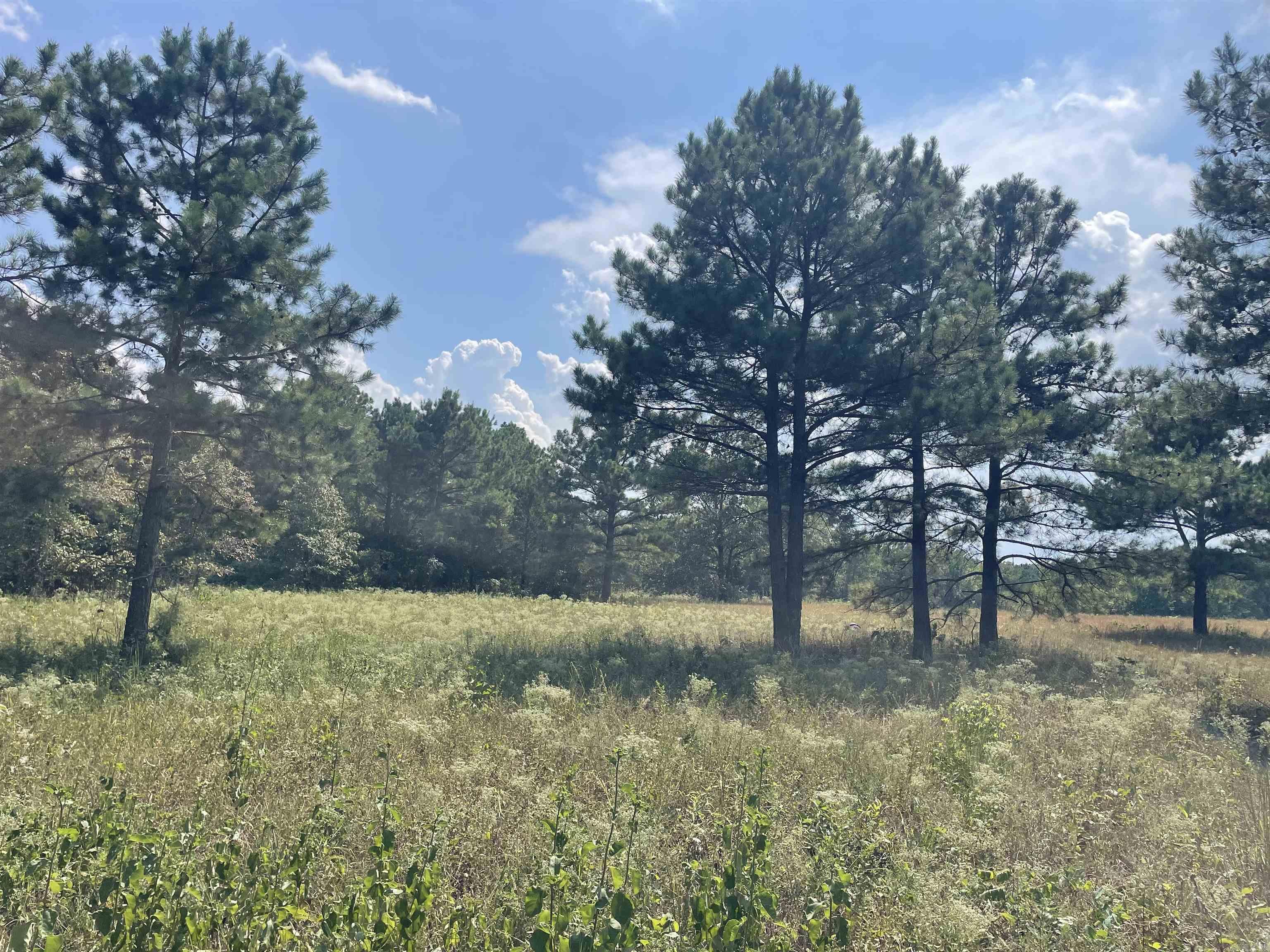 BELL FOLEY ESTATES - Land