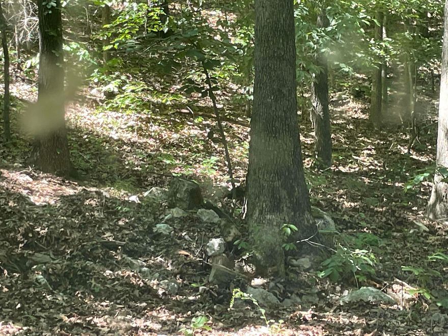 Beautiful 5 acres offered to build your dream home or retreat. Thi slot has a great mix of large timber and open area.  You can have grazing are for livestock  or a gardening area and large timber to place a home for cool summer shade.  The lot is mostly level but offers some gental slopes  Corners are marked with survey tape and steel post  Internet is on Duncan road across the road from this property