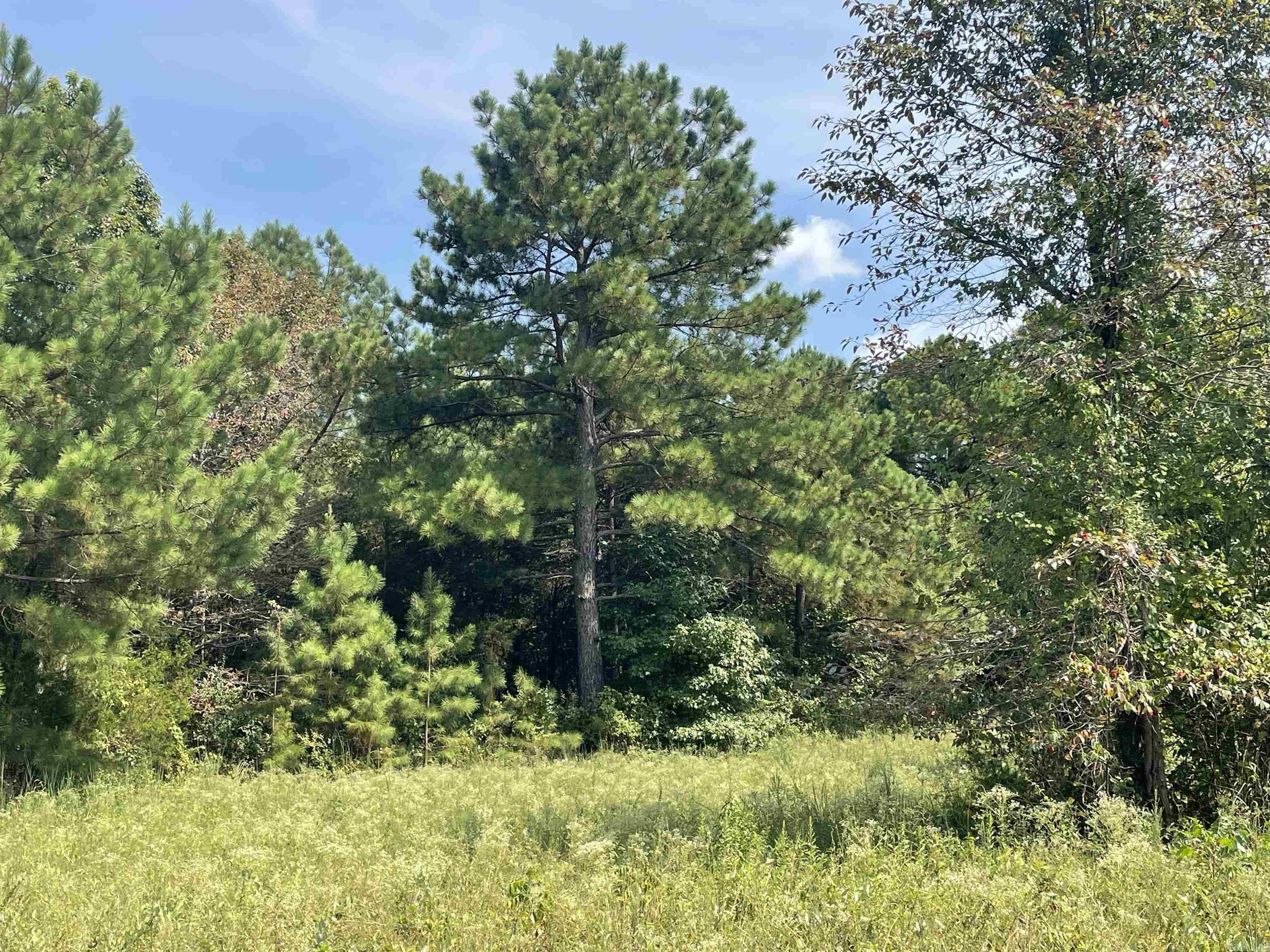 BELL FOLEY ESTATES - Land