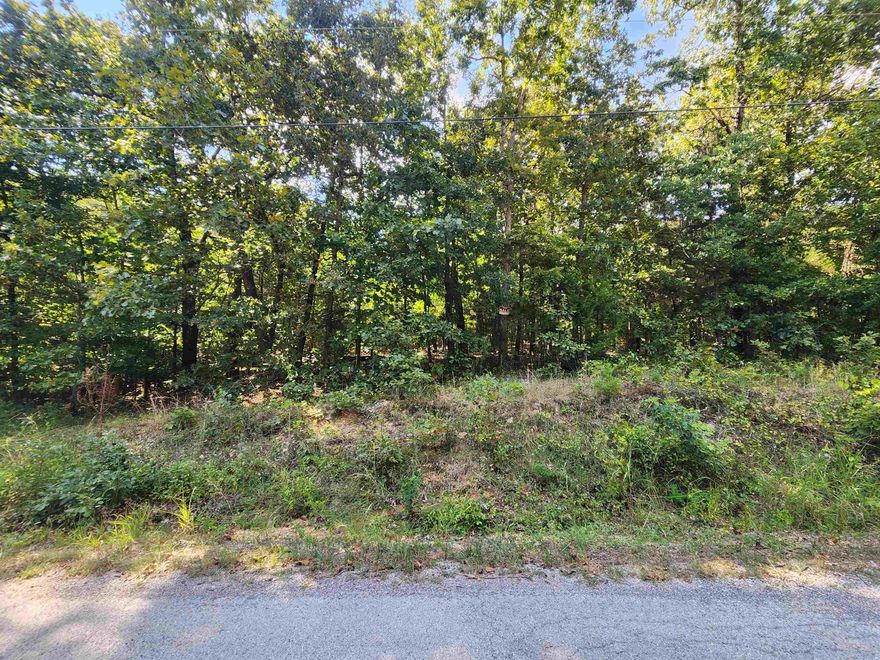 LAKE-VIEW LOT on beautiful Lake Thunderbird in Cherokee Village. Come see the view from this wonderful, wooded, lake-view lot on beautiful Lake Thunderbird. Lake Thunderbird offers 264 acres of freshwater fishing, skiing and boating. Come pick out your building spot for your forever home, cabin or vacation home on this lot with wonderful views of the sunrise over lake Thunderbird. This lot has passed a soil test in the past and has been surveyed. Just a short distance from the Thunderbird Center for all your summer swimming needs sits this .33-acre lot to build your forever home on. Don't forget that Cherokee Village has 6 other lakes to wet a line and the Southfork River flowing through it for more fishing or just taking a lazy trip floating down the river. Cherokee Village also has not one but two 18-hole golf courses for you to work on your game. Come for a visit and check it out for yourself. You will probably never want to leave again.