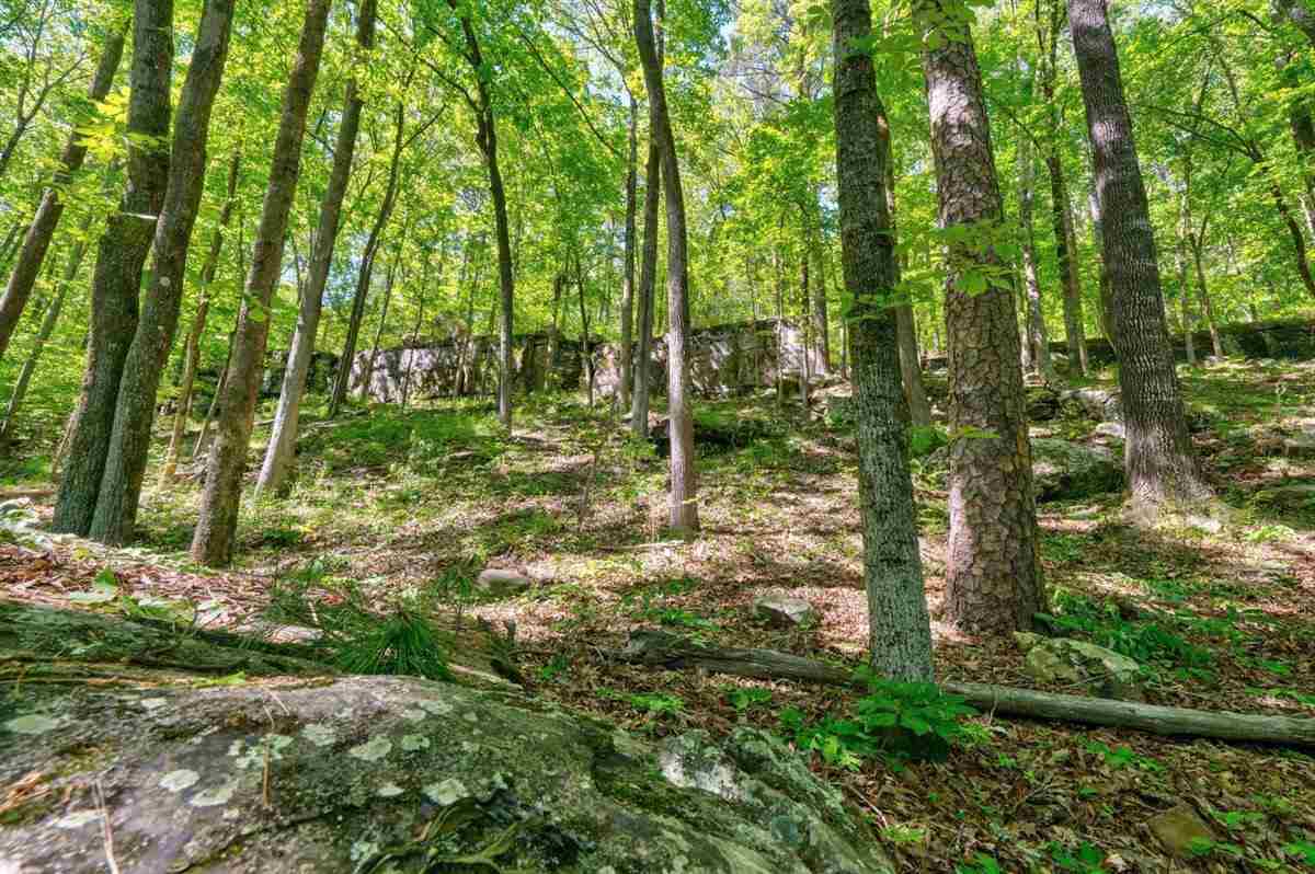 TROUT HAVEN - Residential