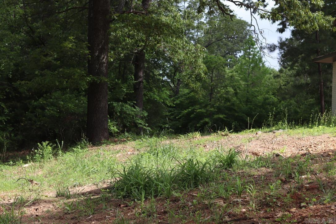 MAYNARD ACREAGE - Residential