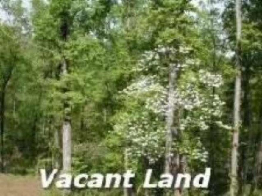 Building Lot Appraised Value 51,750