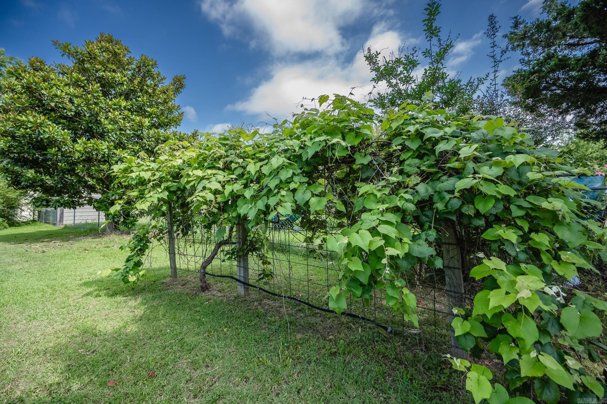 Eureka - Residential