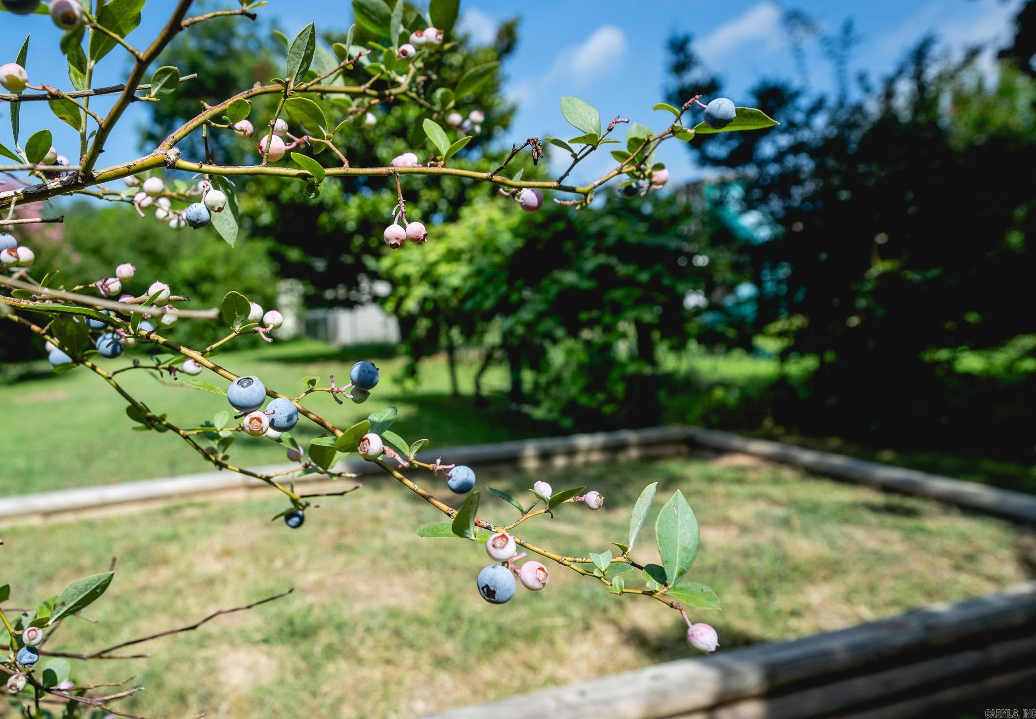 Eureka - Residential