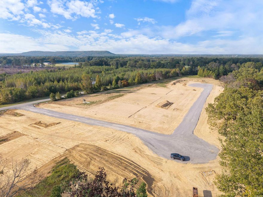 Welcome to Sixteenth Section Estates! A stunning, small development with oversized lots for a country feel, but minutes from all the amenities Cabot has to offer! This lot has our fan favorite Buffalo Plan proposed that features all the qualities of your dream home - 4 spacious bedrooms, 2 full baths, open concept floor plan, large kitchen, separate laundry and mudroom, and more! Our semi-custom build process allows you to build your dream home, but purchase the home with a regular mortgage at the end of the build! We hope you'll consider making Sixteenth Section Estates your new home.