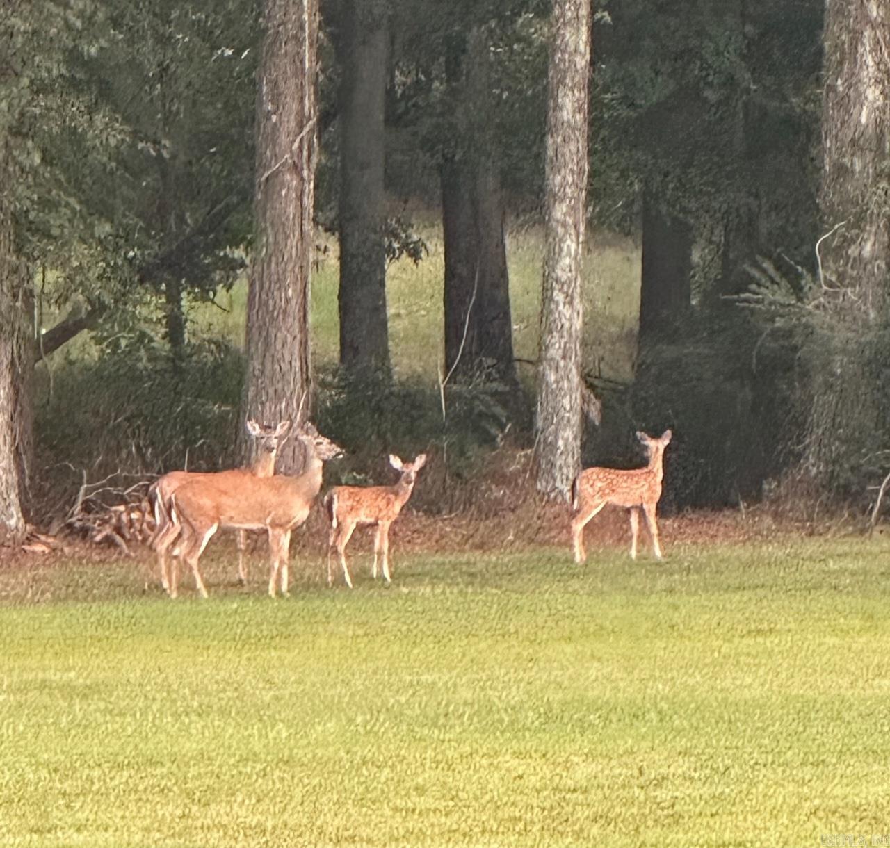 MCDANIEL'S - Residential