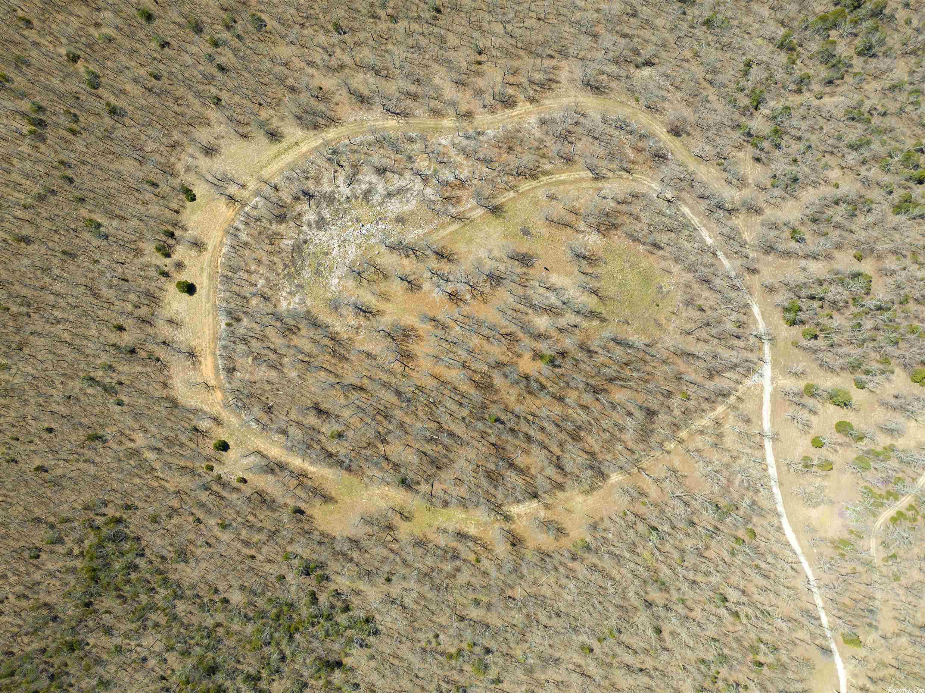 Not in Subdivision - Land