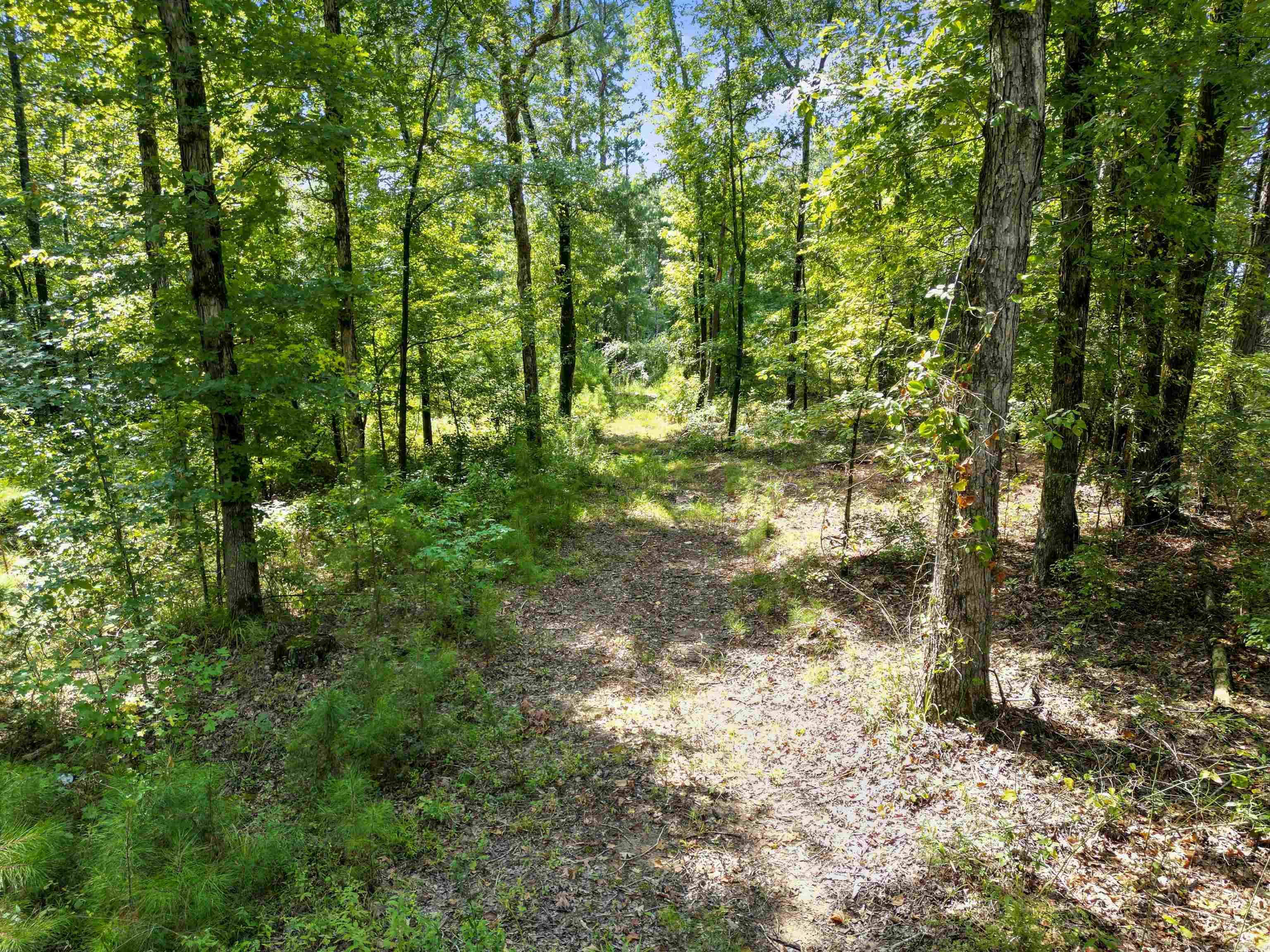 Not in Subdivision - Land