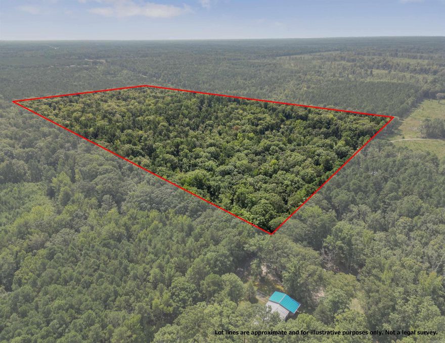 Beautiful acreage, secluded, some timber, hunters welcome. Or you can have your own personal hunting refuge or build your dream home in the middle of this acreage for an everyday tranquil awakening. Drive out and take a look.