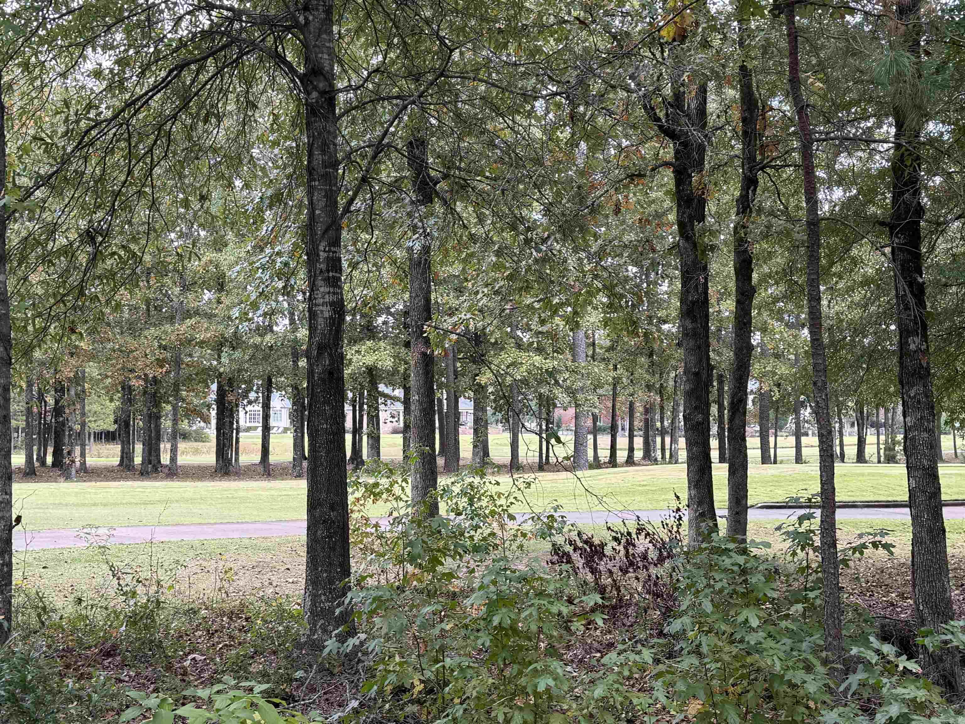 CHENAL VALLEY "MIRAMONT CIRCLE" - Land