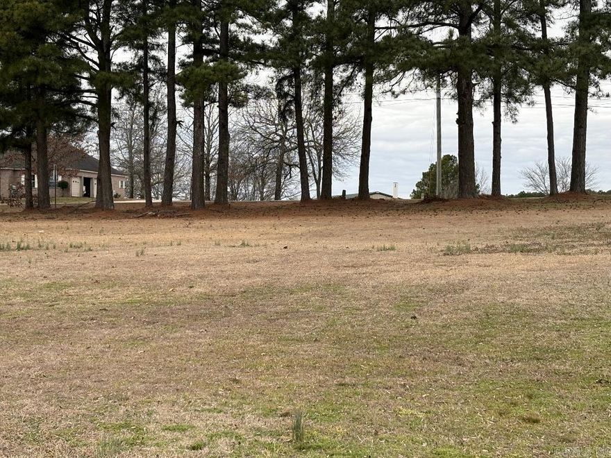 Seller Will build to Suit they have a couple different house plans. 1800 Min Sq Footage Build your dream home here. Minutes to ASU Beebe and Beebe Schools. Water and Electricity are Next door adjacent to property. No Mobile Homes. Mature Pine Tree are frontage of Property next to Highway. Min Square Footage See Agent Remarks