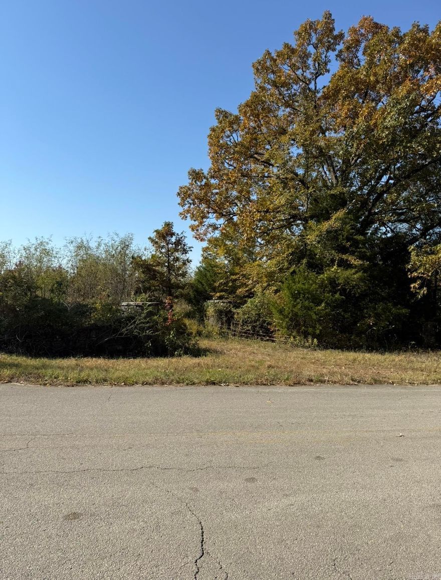 29 +or- acres on Crowley,s Ridge with pond and wet weather spring. Perfect location to build you dream home with paved county road frontage.