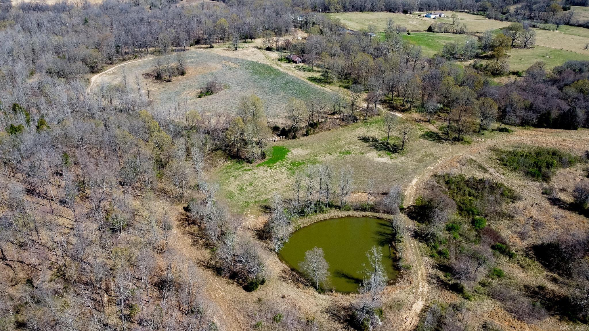 Nestled on Crowley’s Ridge in Clay County, Arkansas, this exceptional 150 +/- acre property offers a rare opportunity for avid hunters and land enthusiasts. Located just 6 miles northwest of Rector and 27 miles north of Paragould, this property is in an area renowned for producing big deer. With an incredible management history, it has been carefully developed to provide the ideal habitat for mature whitetails and turkey, making it a prime destination for trophy hunting. The land features meticulously maintained clover and soybean food plots, ensuring a consistent food source to attract and sustain wildlife. Multiple ponds further enhance the property’s appeal, offering essential water sources and adding to the scenic beauty of the land. A gated entrance provides security and exclusivity, allowing for a private and well-managed experience. Whether you're seeking a premier hunting retreat or a long-term investment in high-quality land, this property stands out as a truly exceptional offering in Northeast Arkansas.