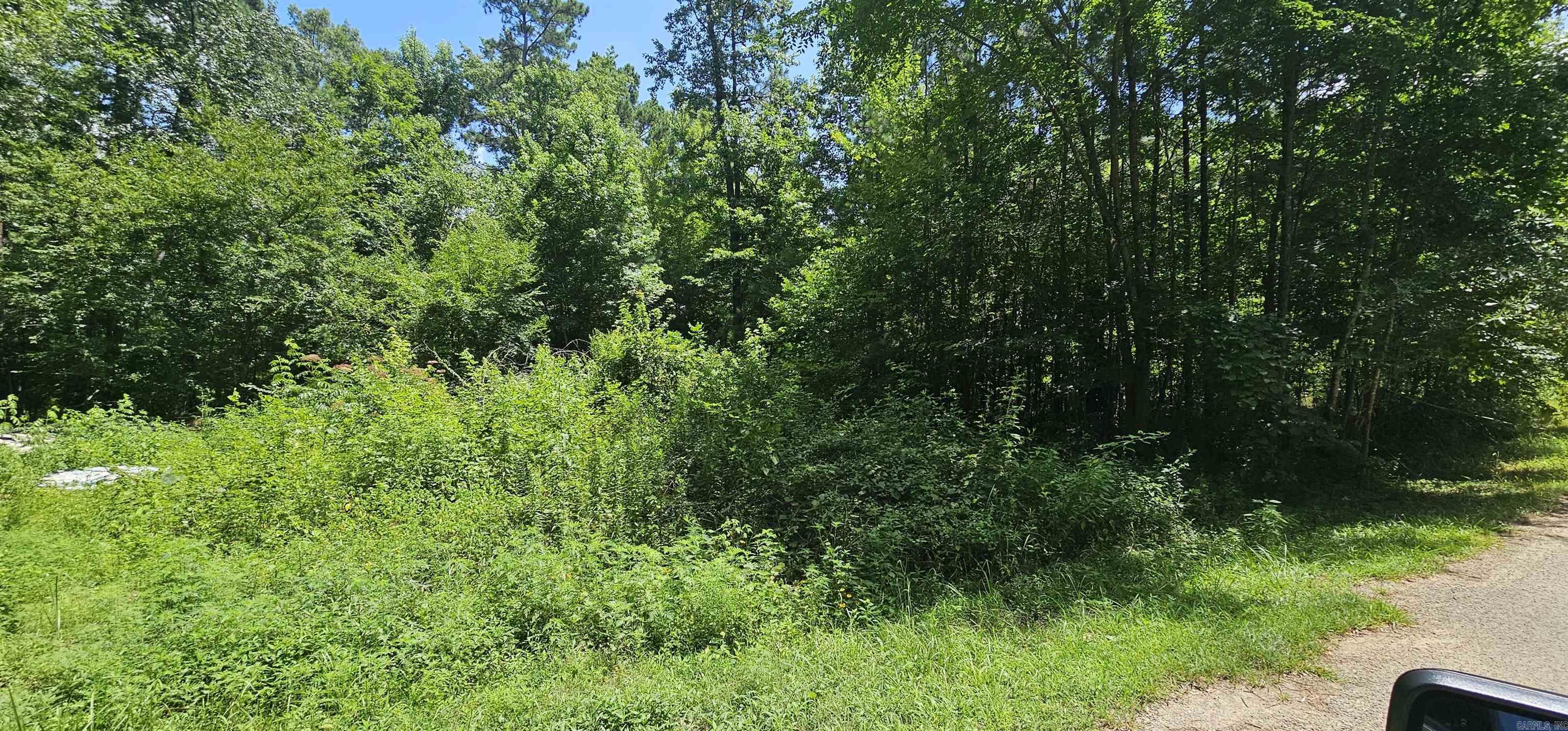 2 lots being sold together to make 1 good sized lot of .25 ac. Perfect place to build your lake escape or to build and investment property. There is water access to Ouachita River in the neighborhood that connects down to Lake Hamilton.