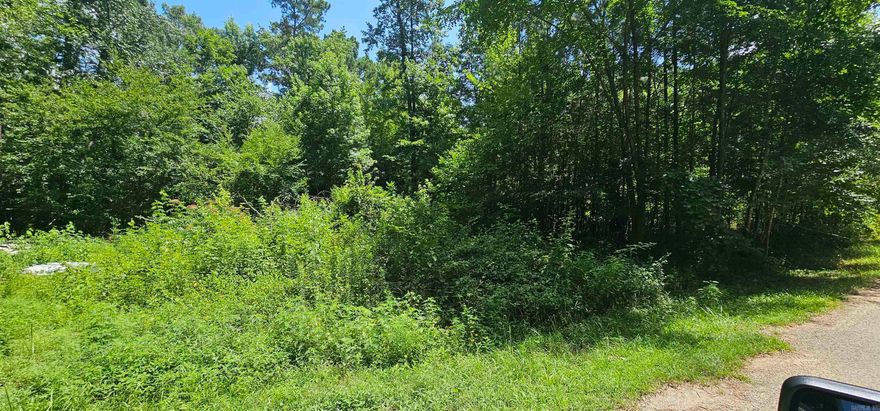 2 lots being sold together to make 1 good sized lot of .25 ac. Perfect place to build your lake escape or to build and investment property. There is water access to Ouachita River in the neighborhood that connects down to Lake Hamilton.