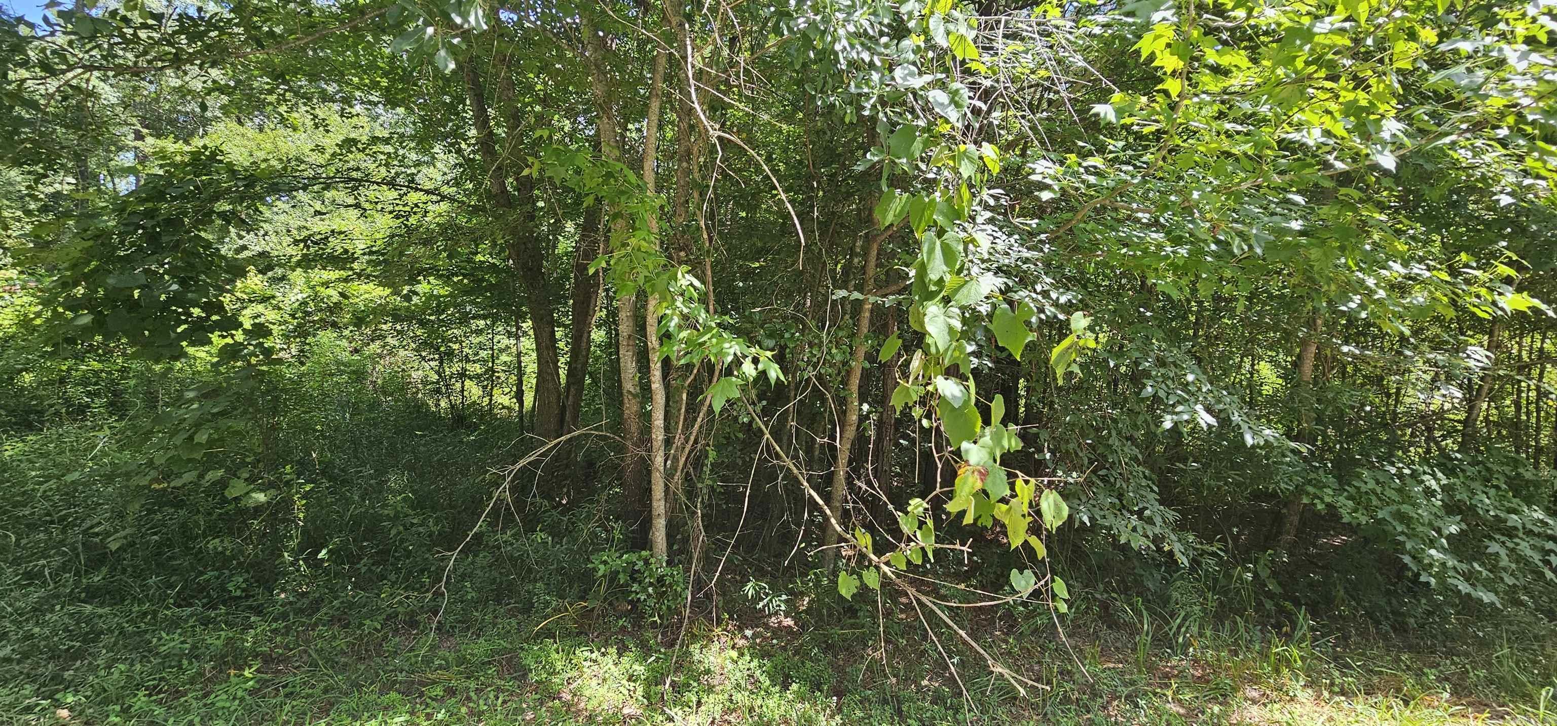 WOODLAND SHORES - Land