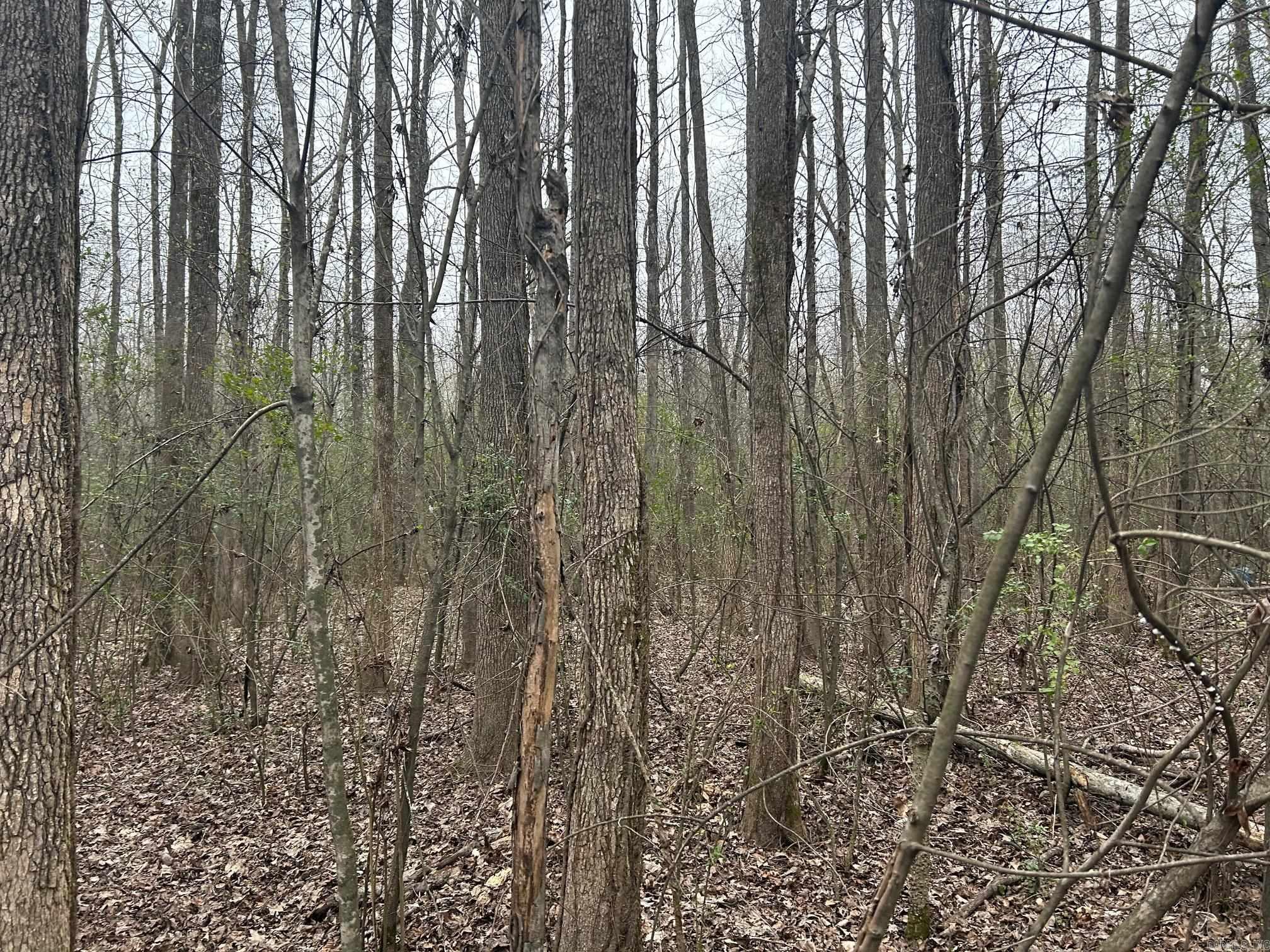 Higginson Outlots - Residential