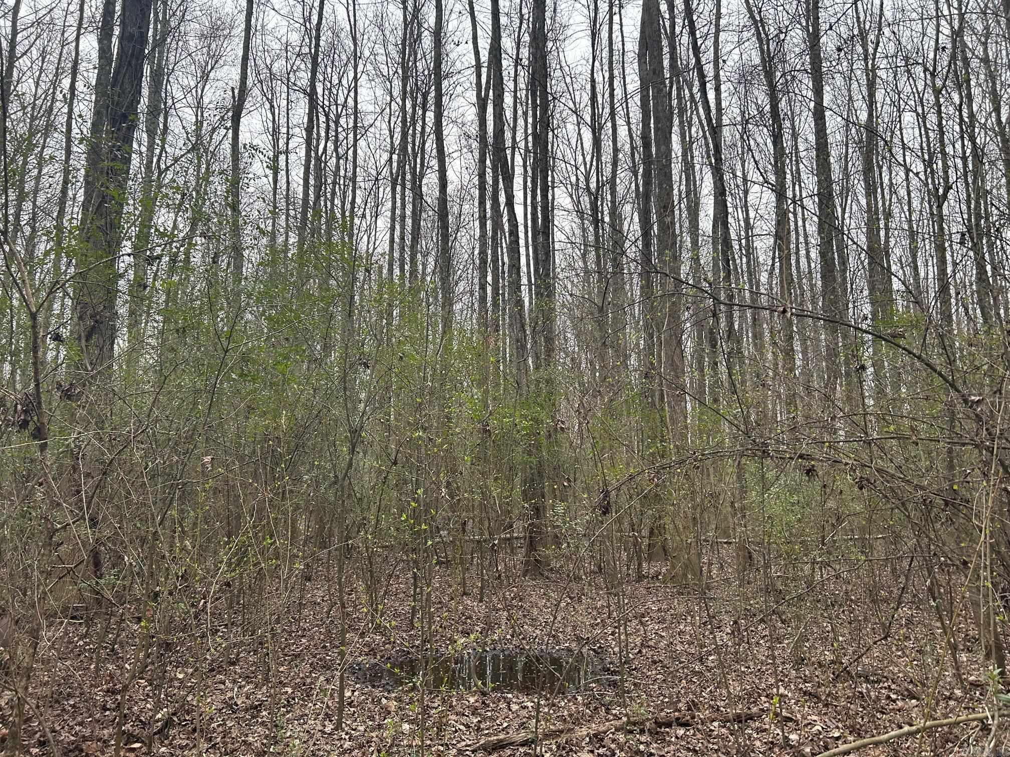 Higginson Outlots - Residential