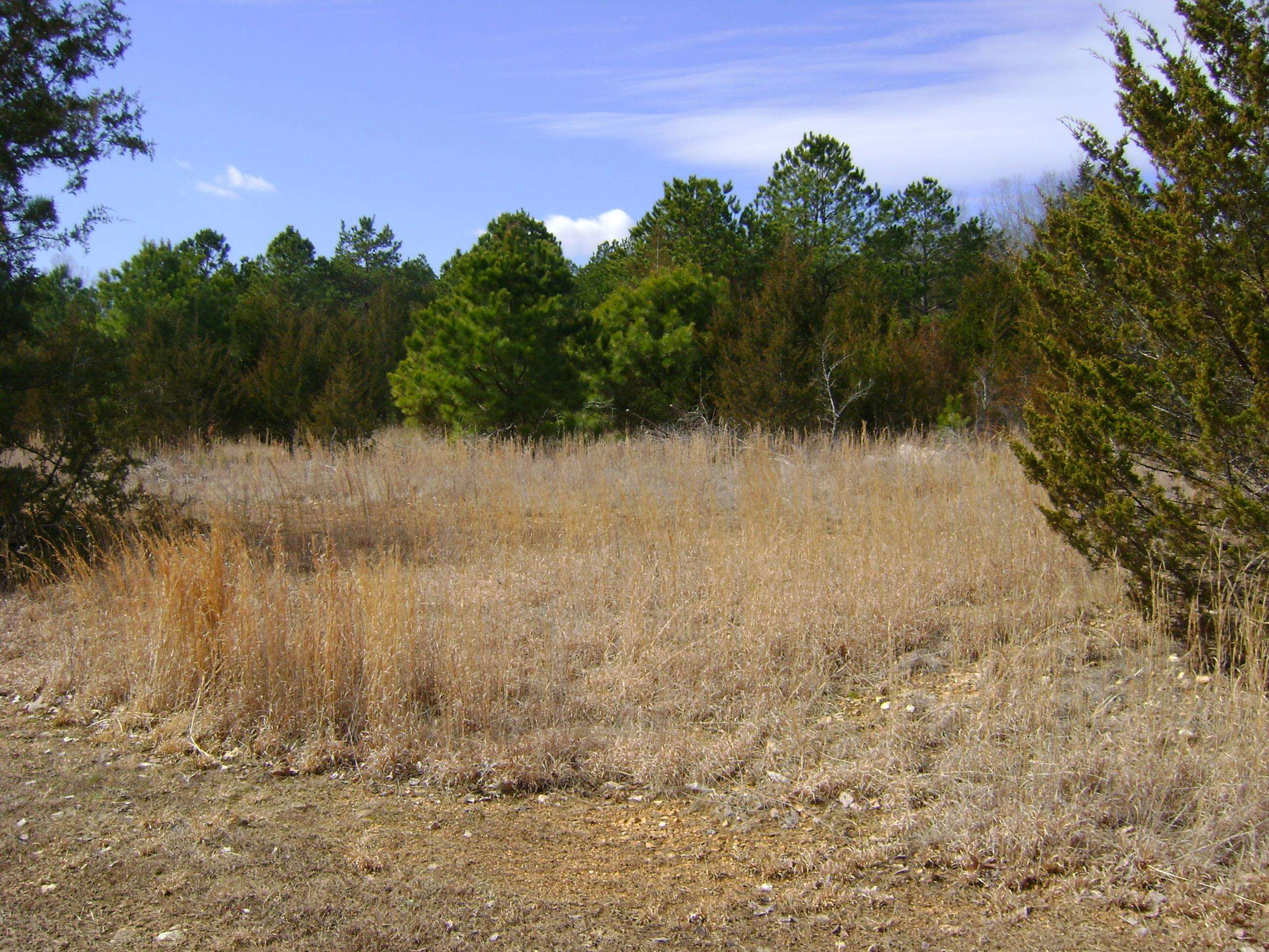 Golf Park 2 - Land