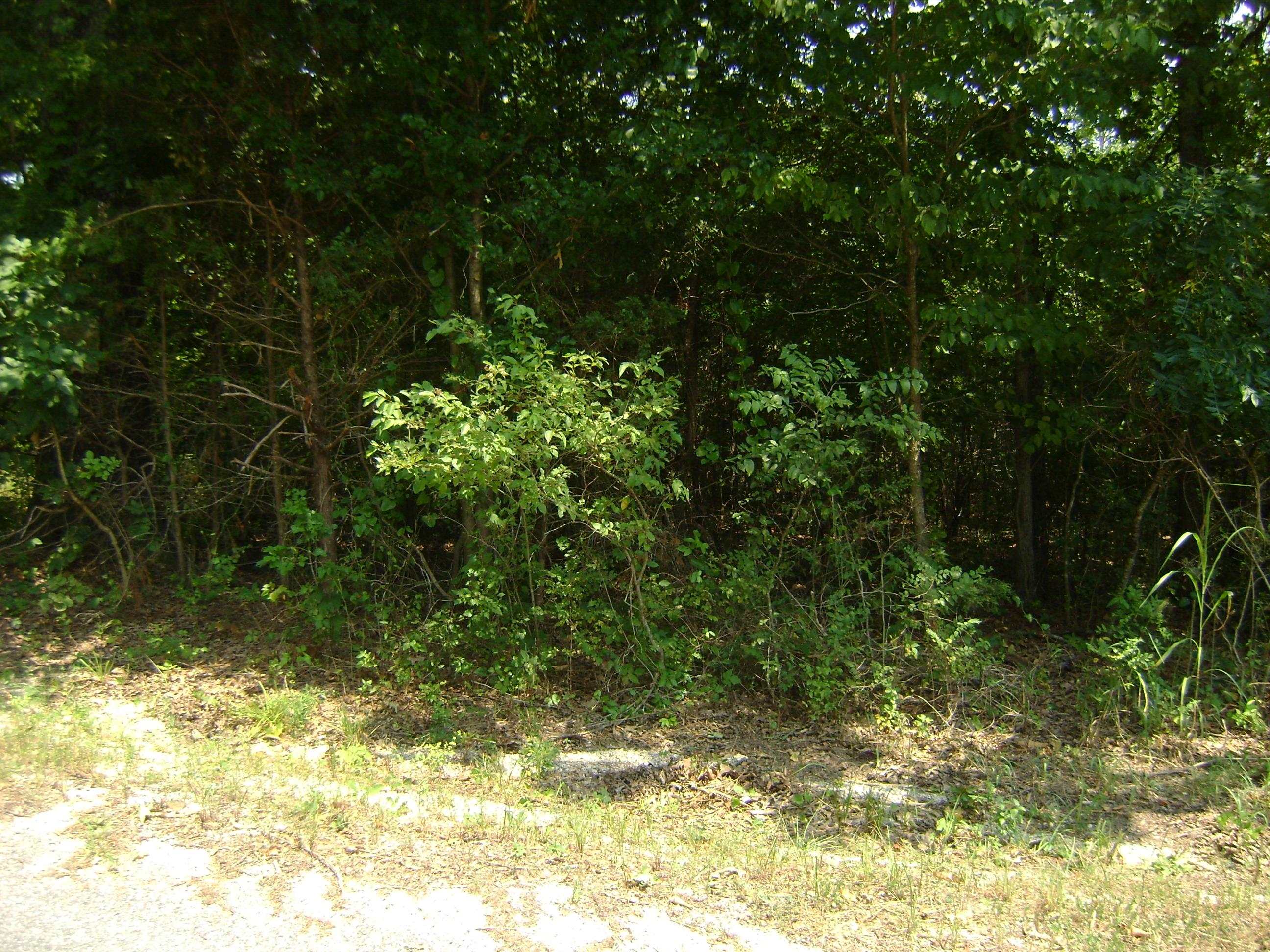 Golf Park 2 - Land