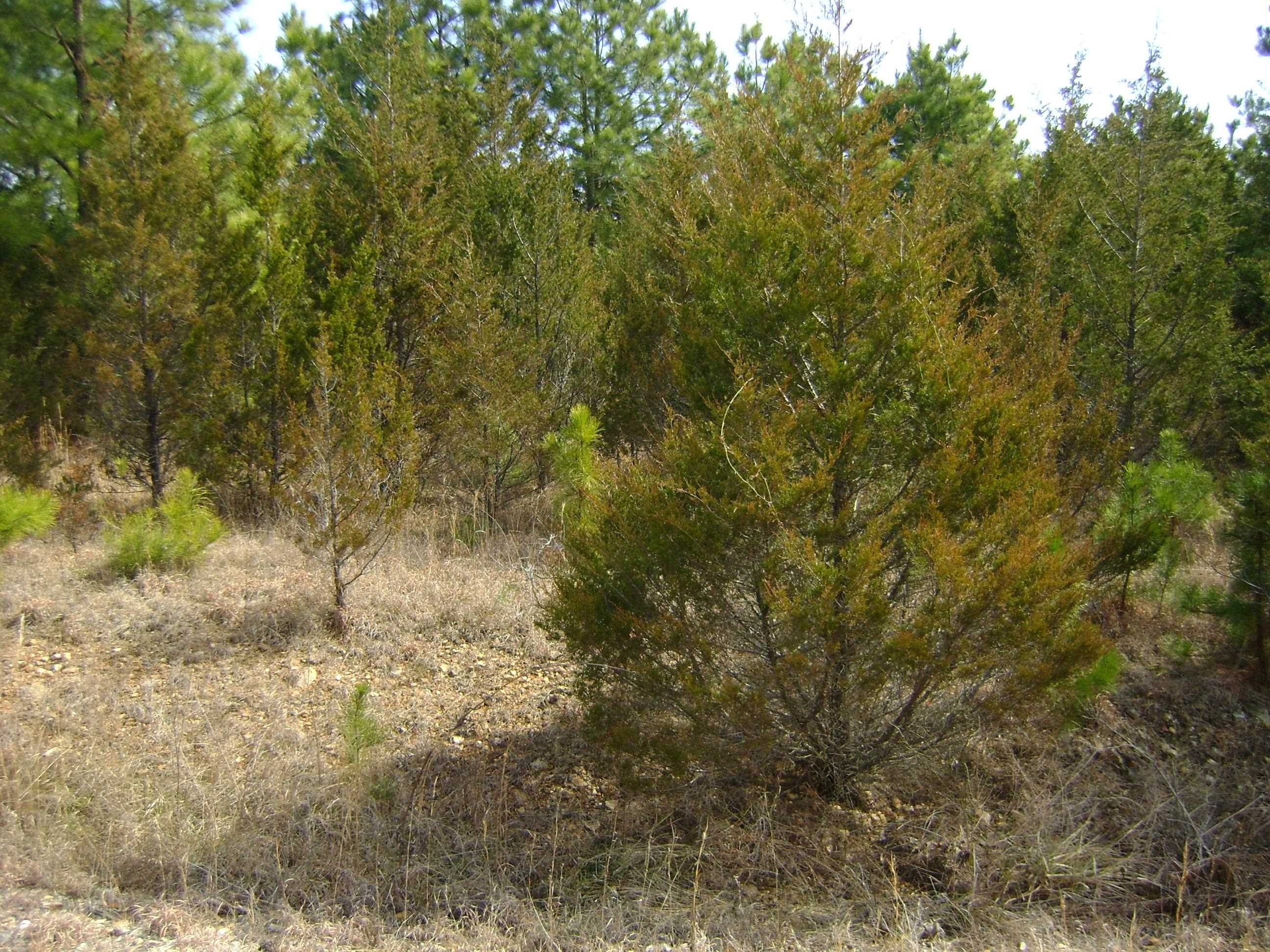 Golf Park 2 - Land