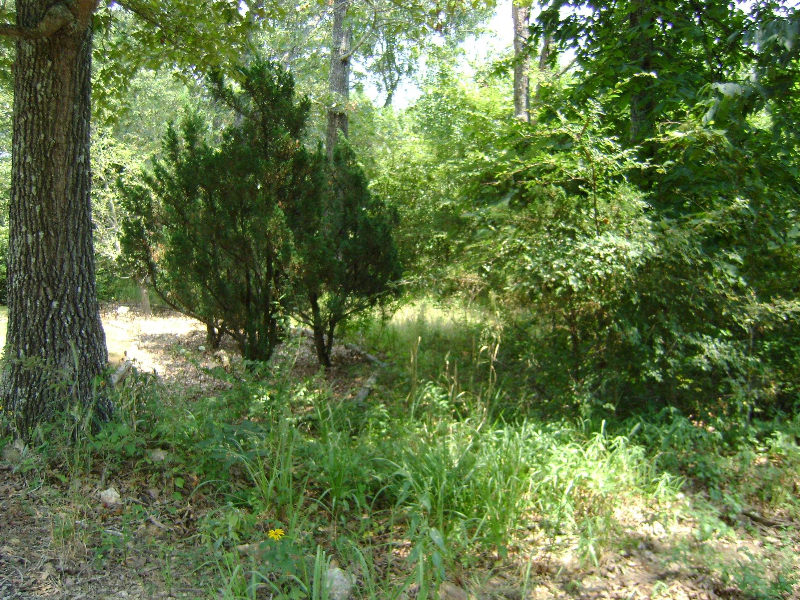 Golf Park 2 - Land